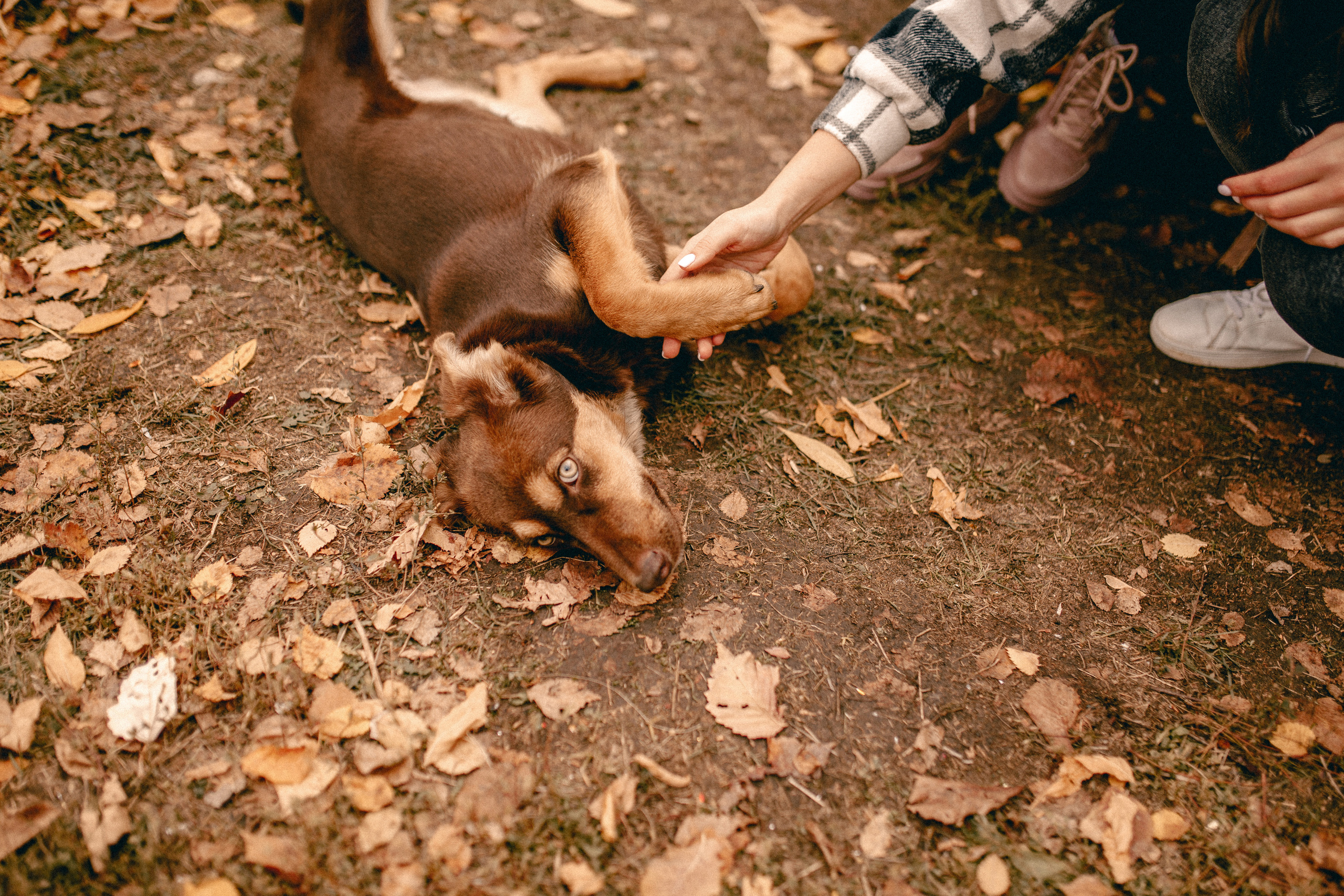 Осенняя съёмка для мамы и дочки, г Самара. Фотограф в Смоленске Ольга Давыдова