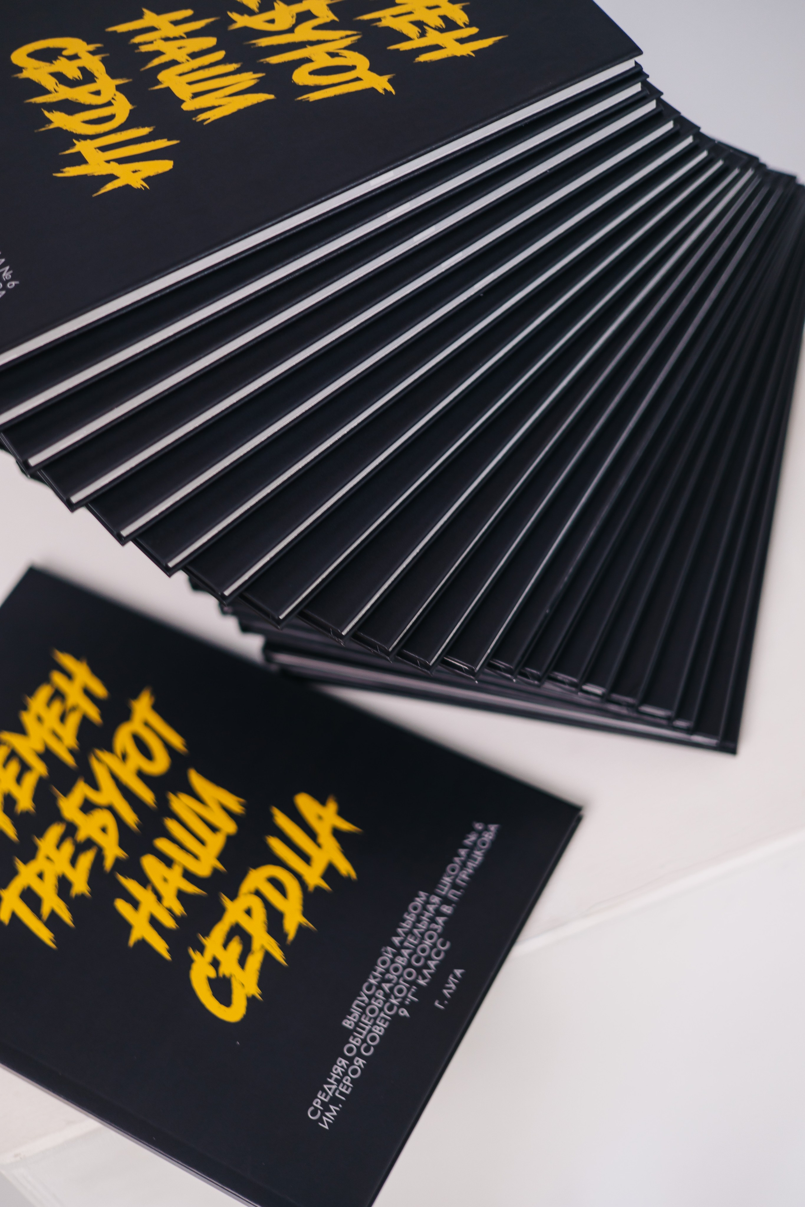 10 разв. для Цен-2. Выпускные альбомы в Луге/Школьные съёмки