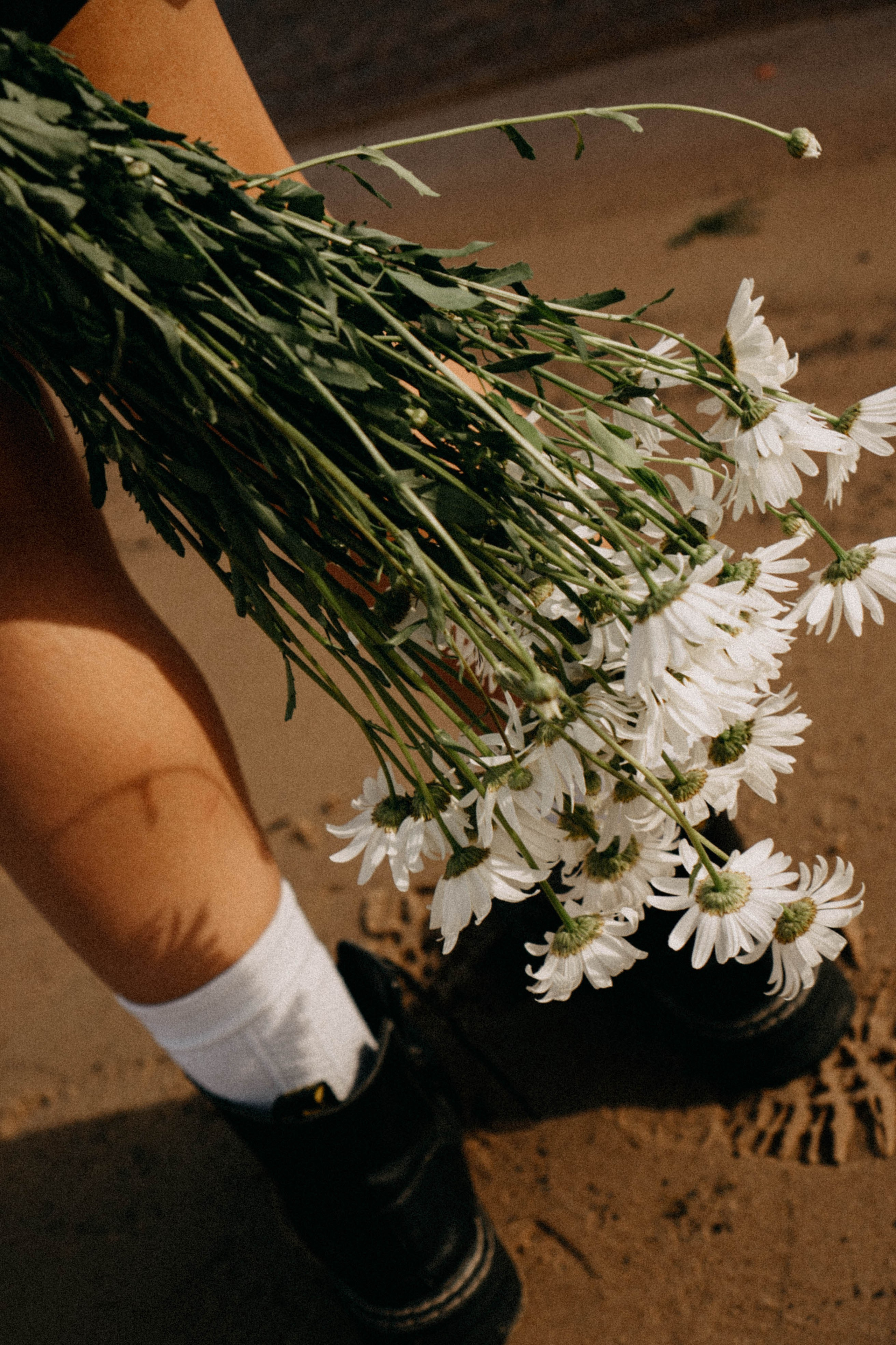 Летняя прогулка. Профессиональный фотограф, Санкт-Петербург — Виктория Богомолова