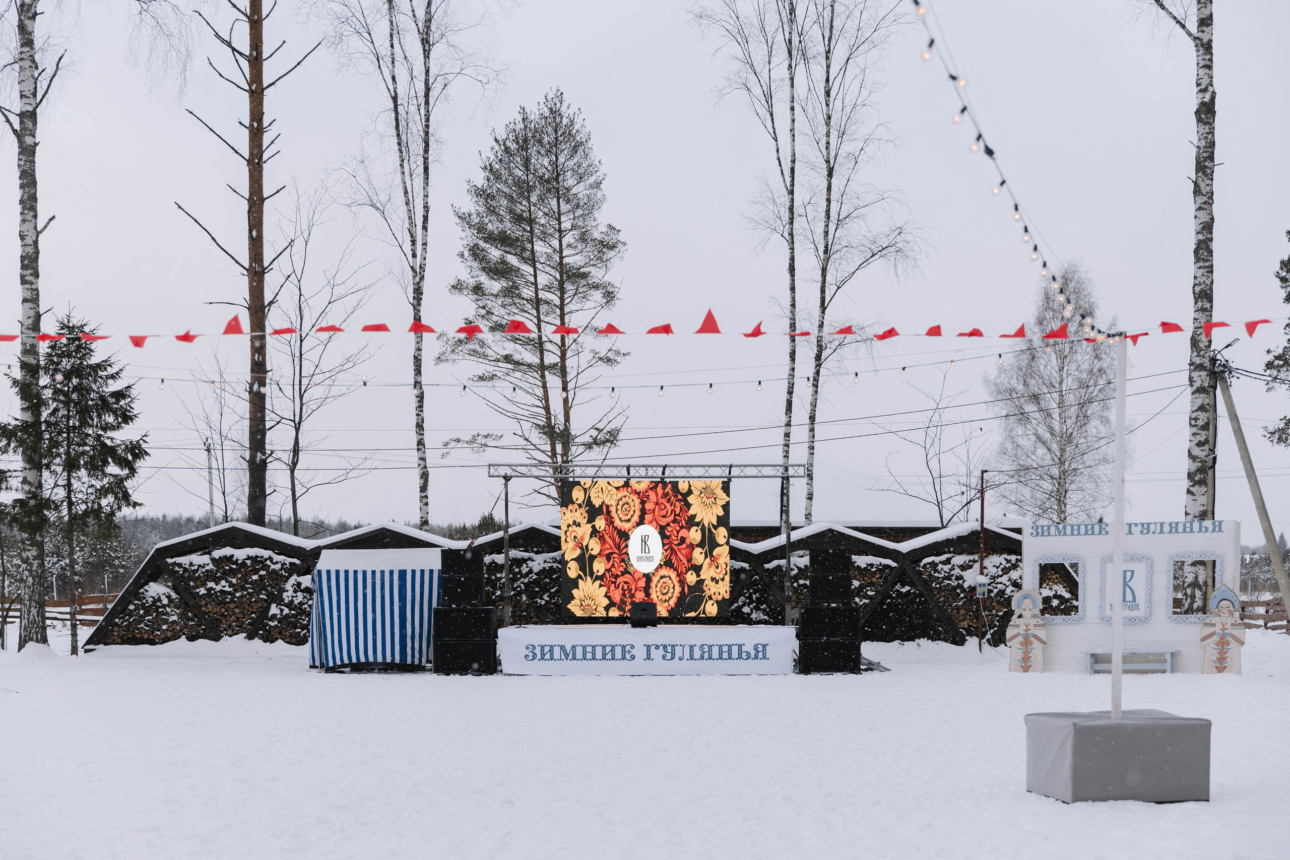 Виноградов. Э Т О М Ы