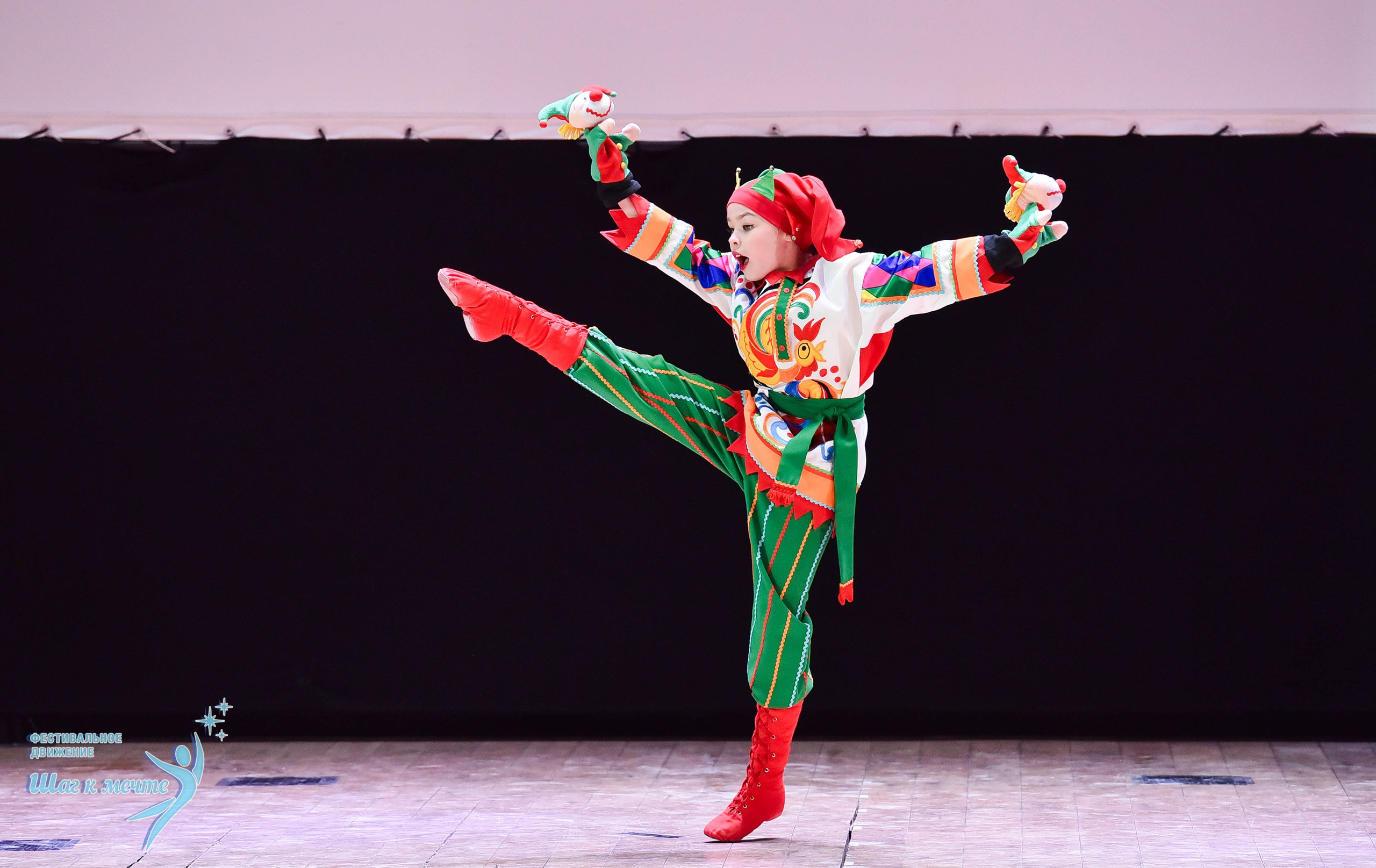 16.11.2024 Фестивальное движение «Шаг к мечте» Подмосковье. Медиастудия Фото Концепт