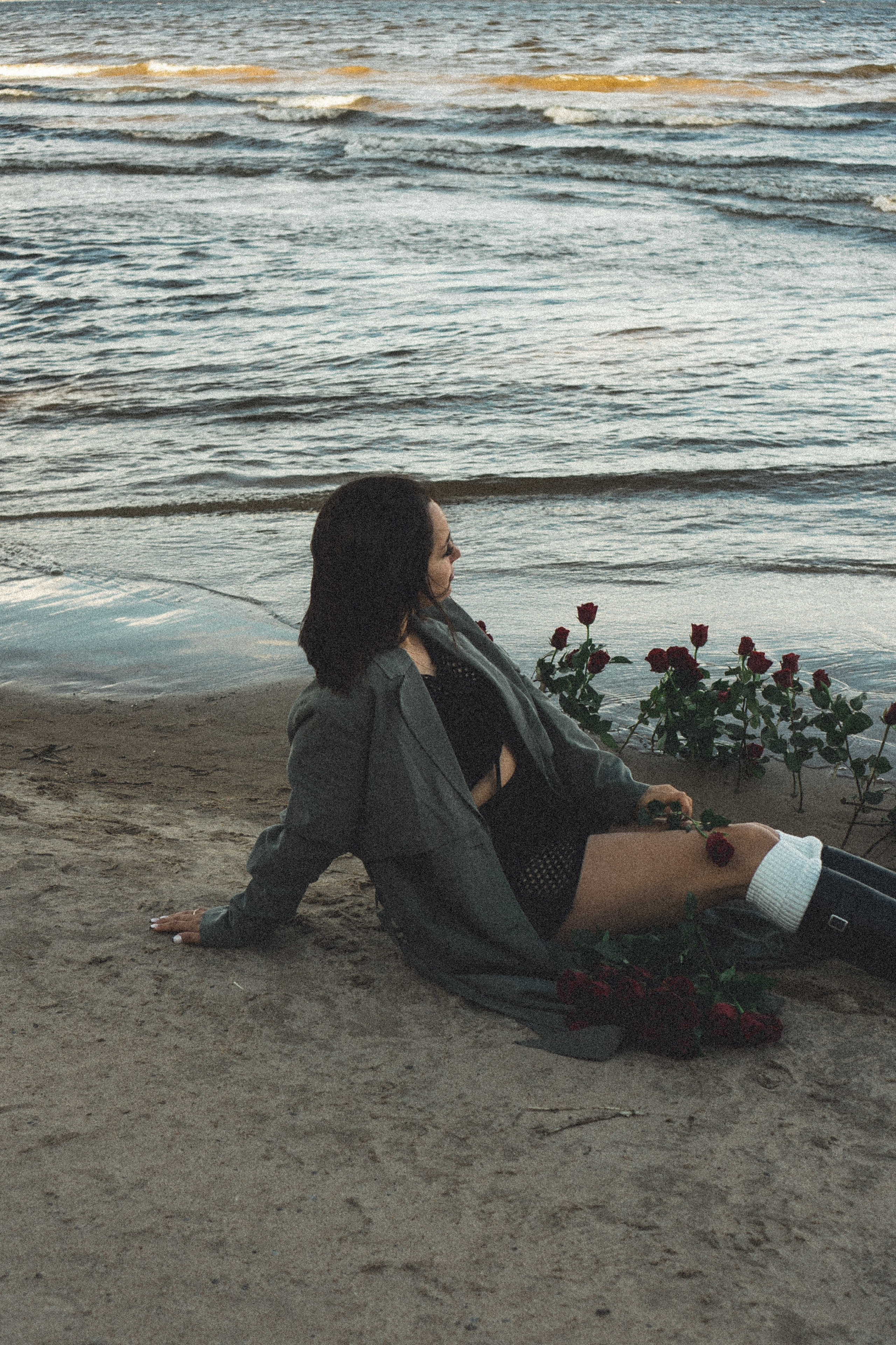 Розы. Профессиональный фотограф, Санкт-Петербург — Виктория Богомолова