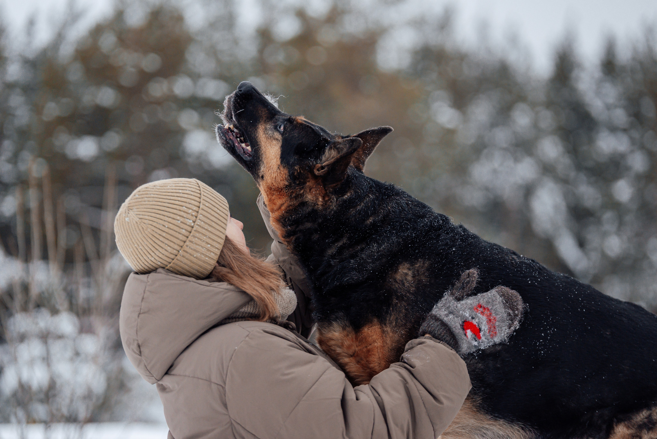 Светлана, Альфа и кошки ✨. Фотограф-анималист Анастасия Парфенова|Екатеринбург