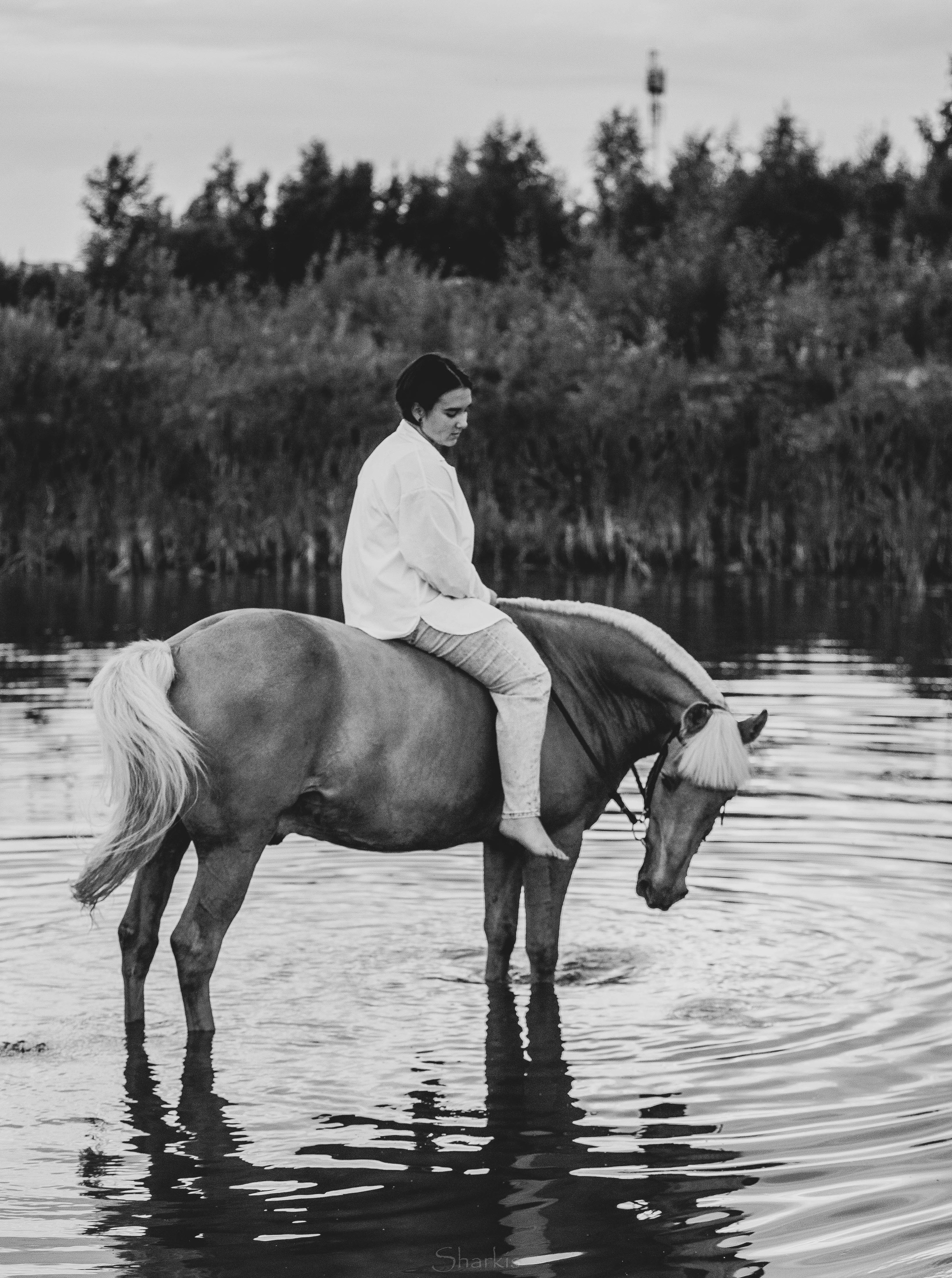 Алина и Гешефт. Главная