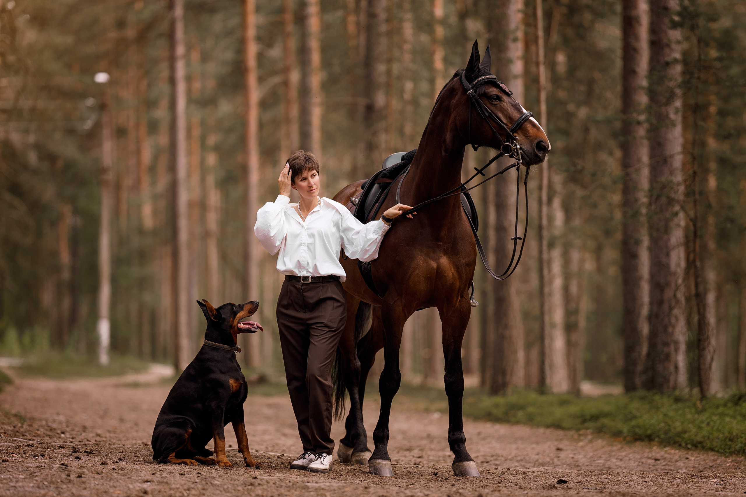 Фотосессии с лошадьми. Фотограф Артемьева Катерина|фотосессии с лошадьми