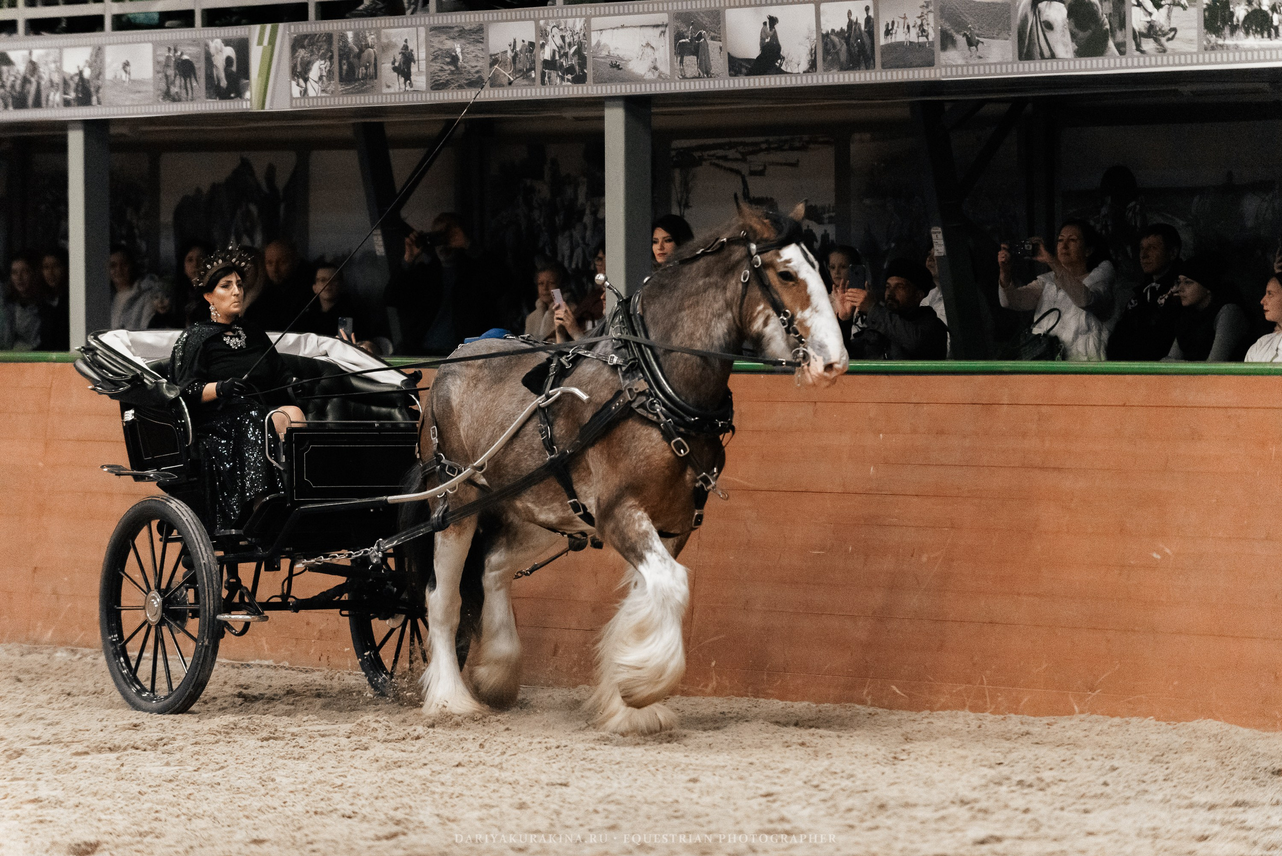 Конное представление «Дыхание Звёзд». Конный фотограф Куракина Дарья • Фотосессии с лошадьми