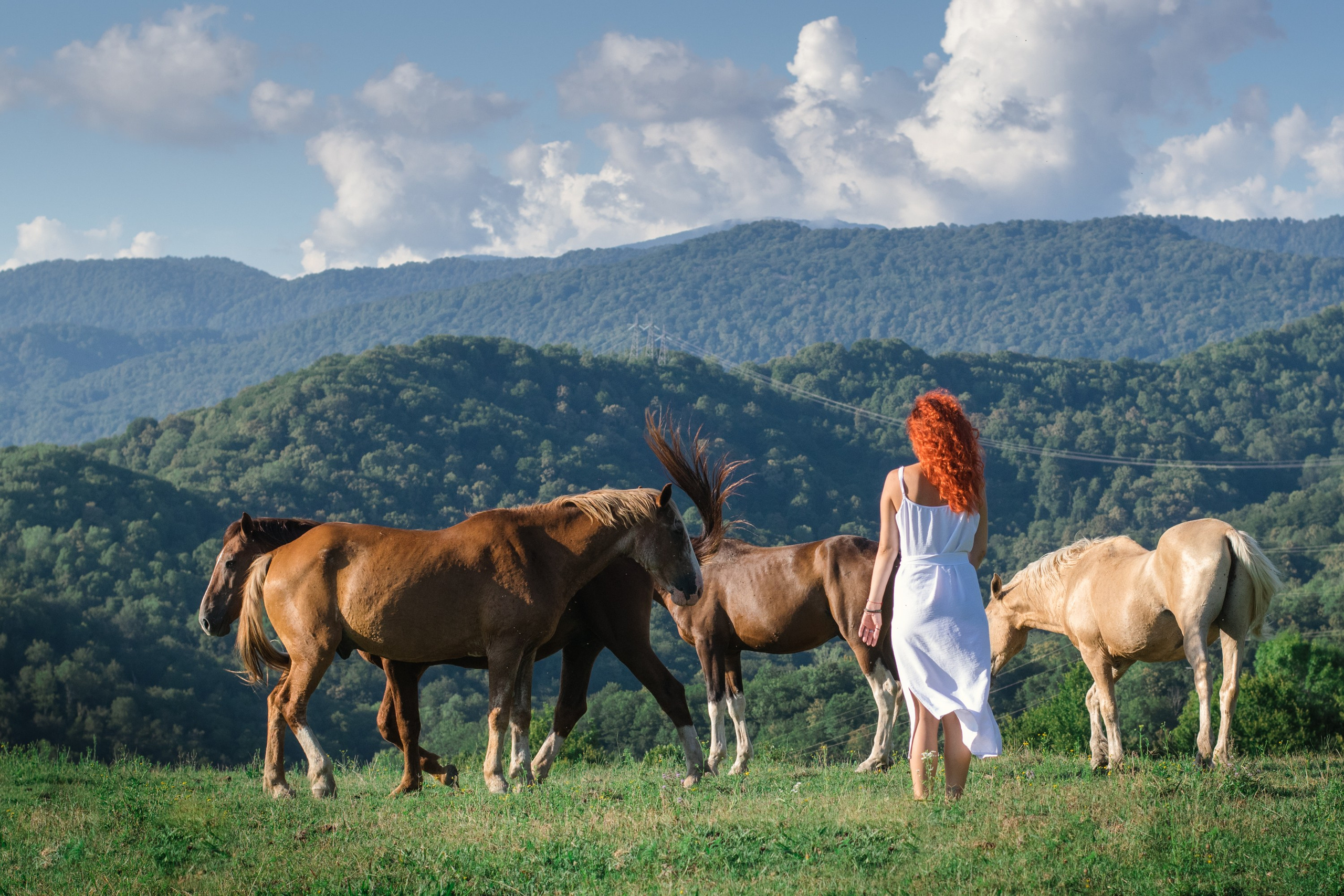 Фотосессия на природе, в поле. Фотограф в Сочи | Щербакова Дарья