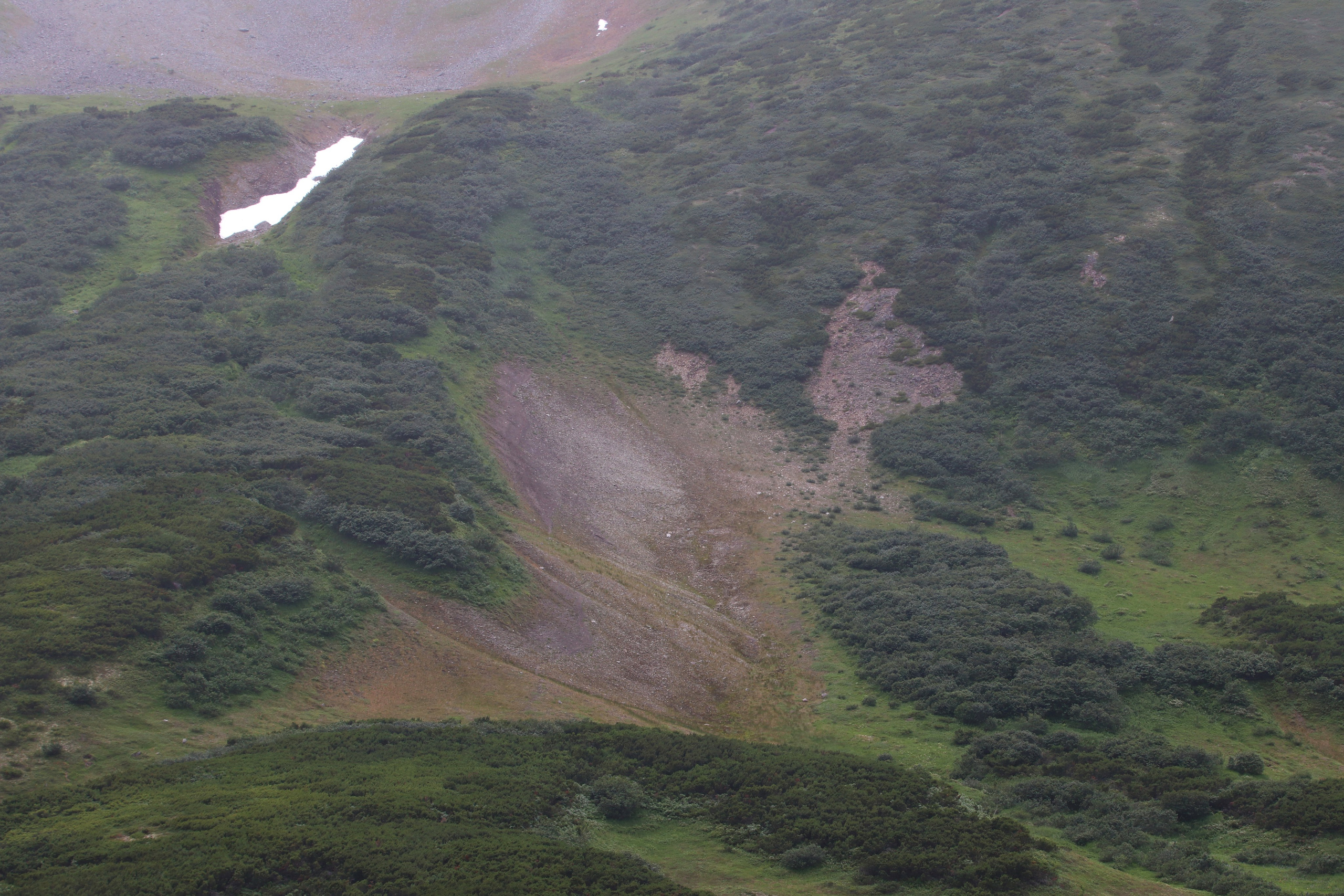 Камчатка и о. Парамушир. Июль 2024. Путешественник-фотограф из Санкт-Петербурга Татьяна Свистулина