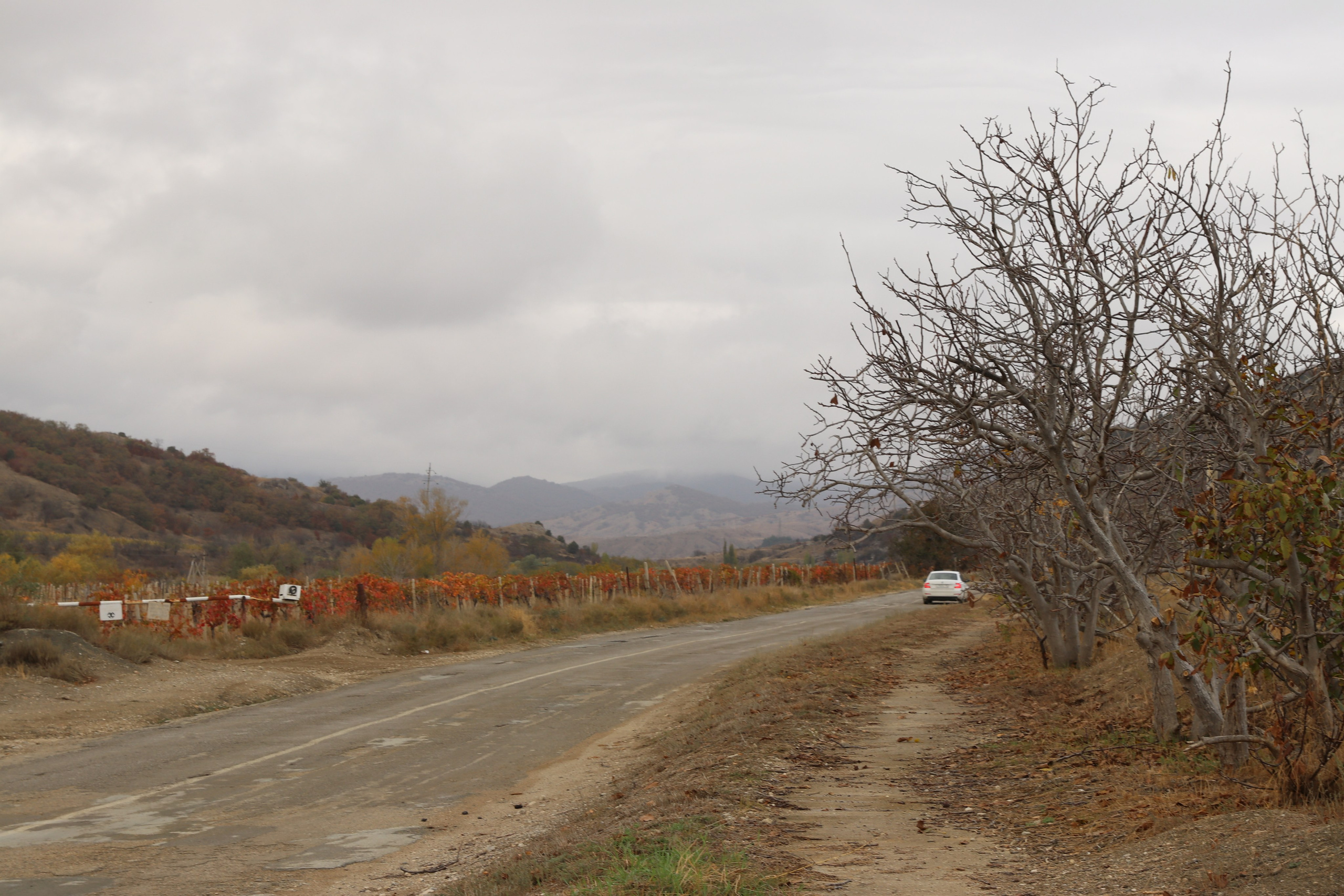 Крым. ЮБК (Гурзуф, Судак и их окрестности). Ноябрь 2023. Путешественник-фотограф из Санкт-Петербурга Татьяна Свистулина