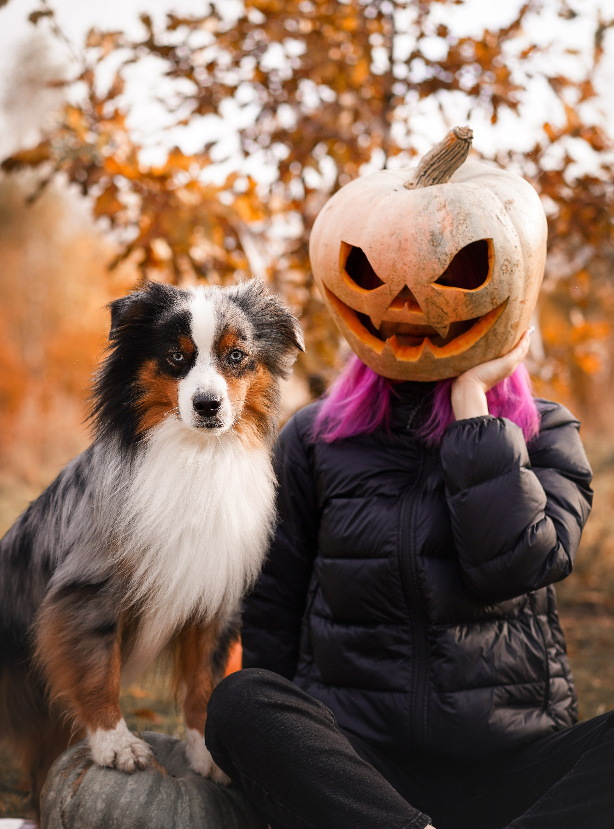 Фотодень Хэллоуин 2025. Фотограф-анималист в Санкт-Петербурге Яна Мартынова