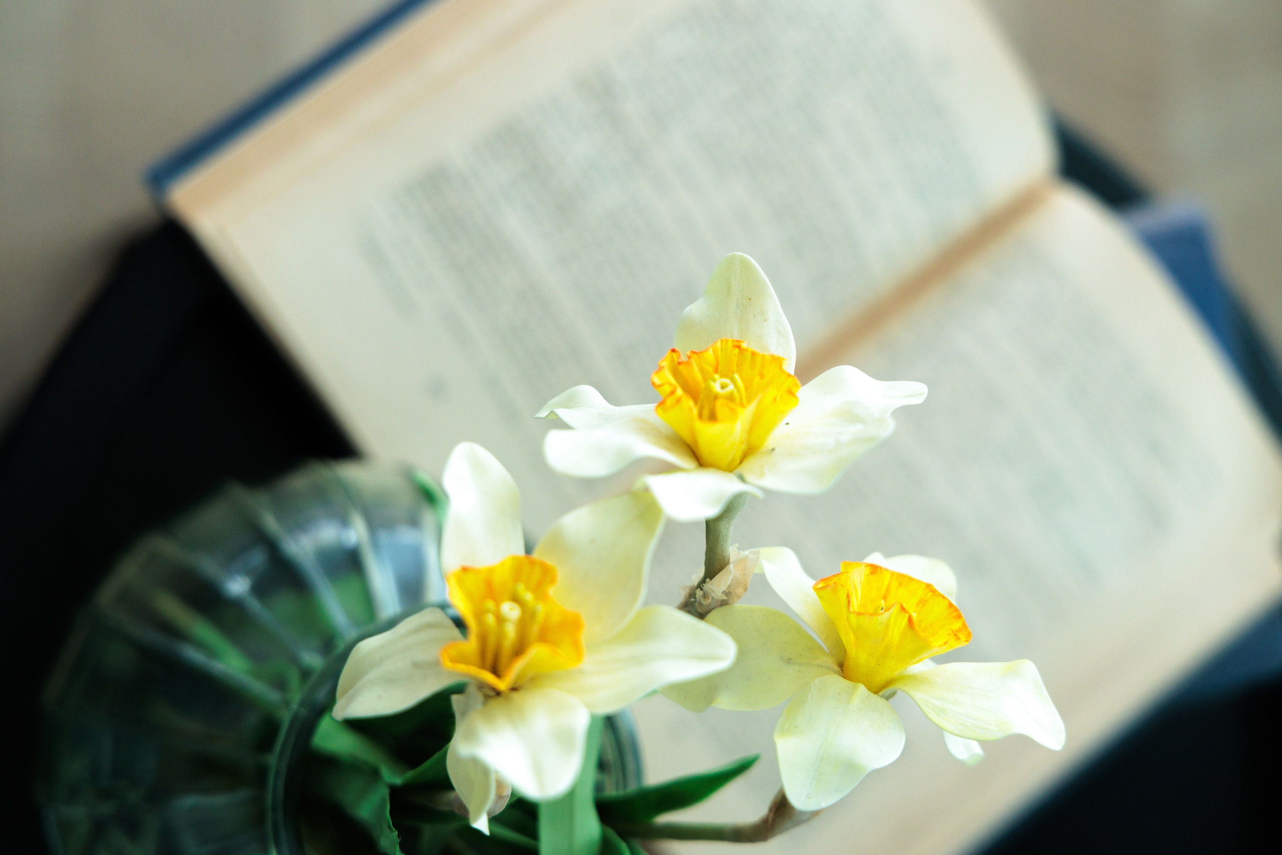 Аренда фотостудии. Class Story