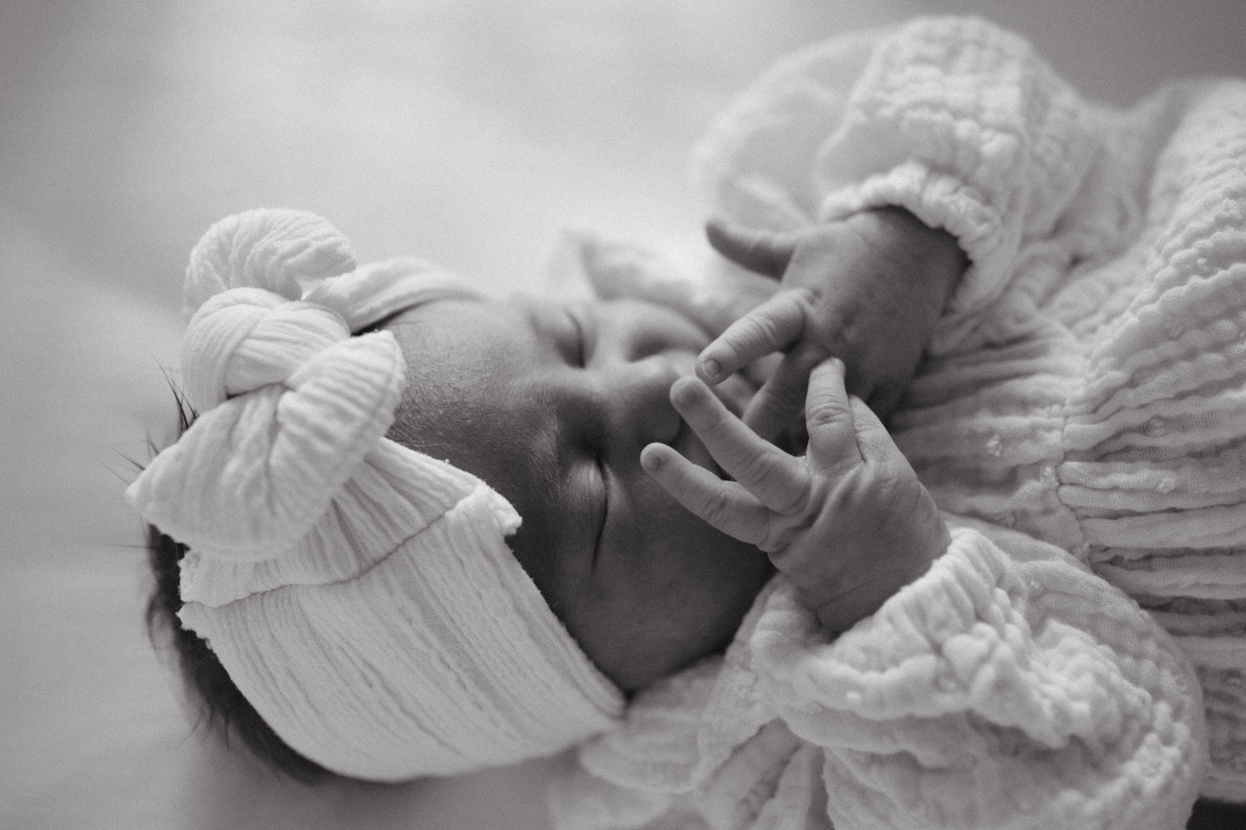 Newborn. -