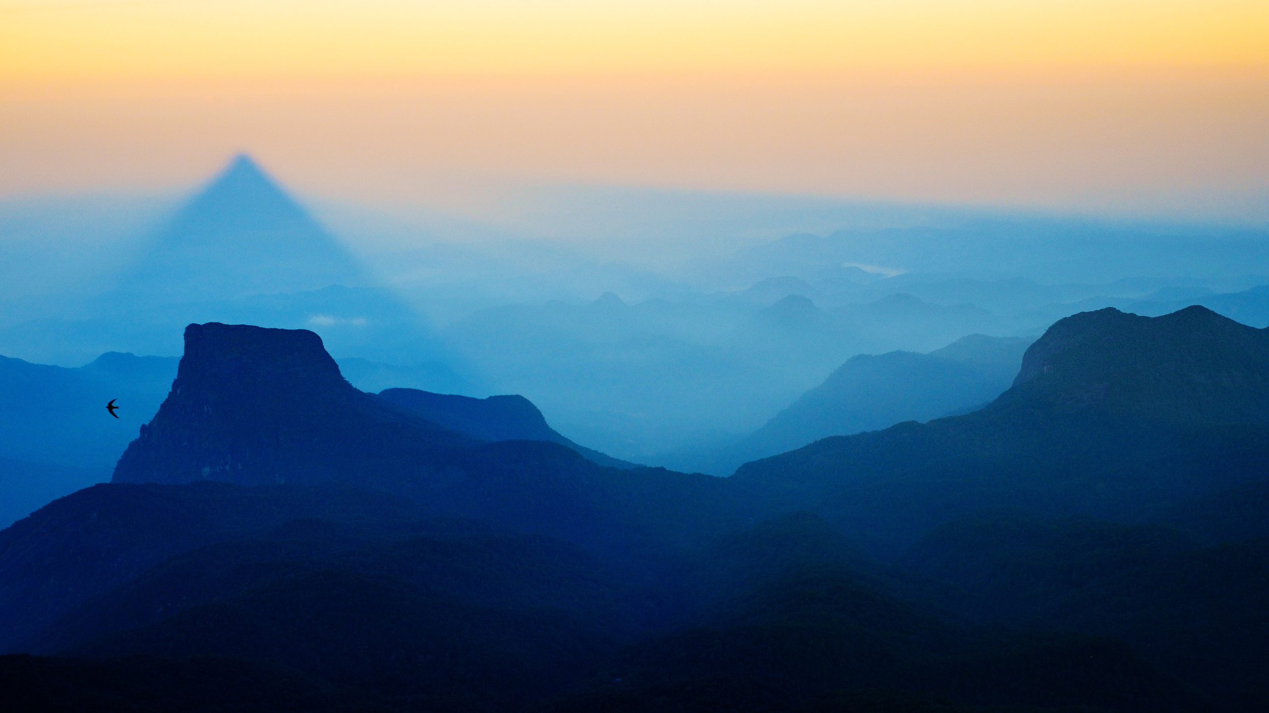 Фотографии для интерьера. Oleg Samoilov is a documentary photographer for brands that value an honest story