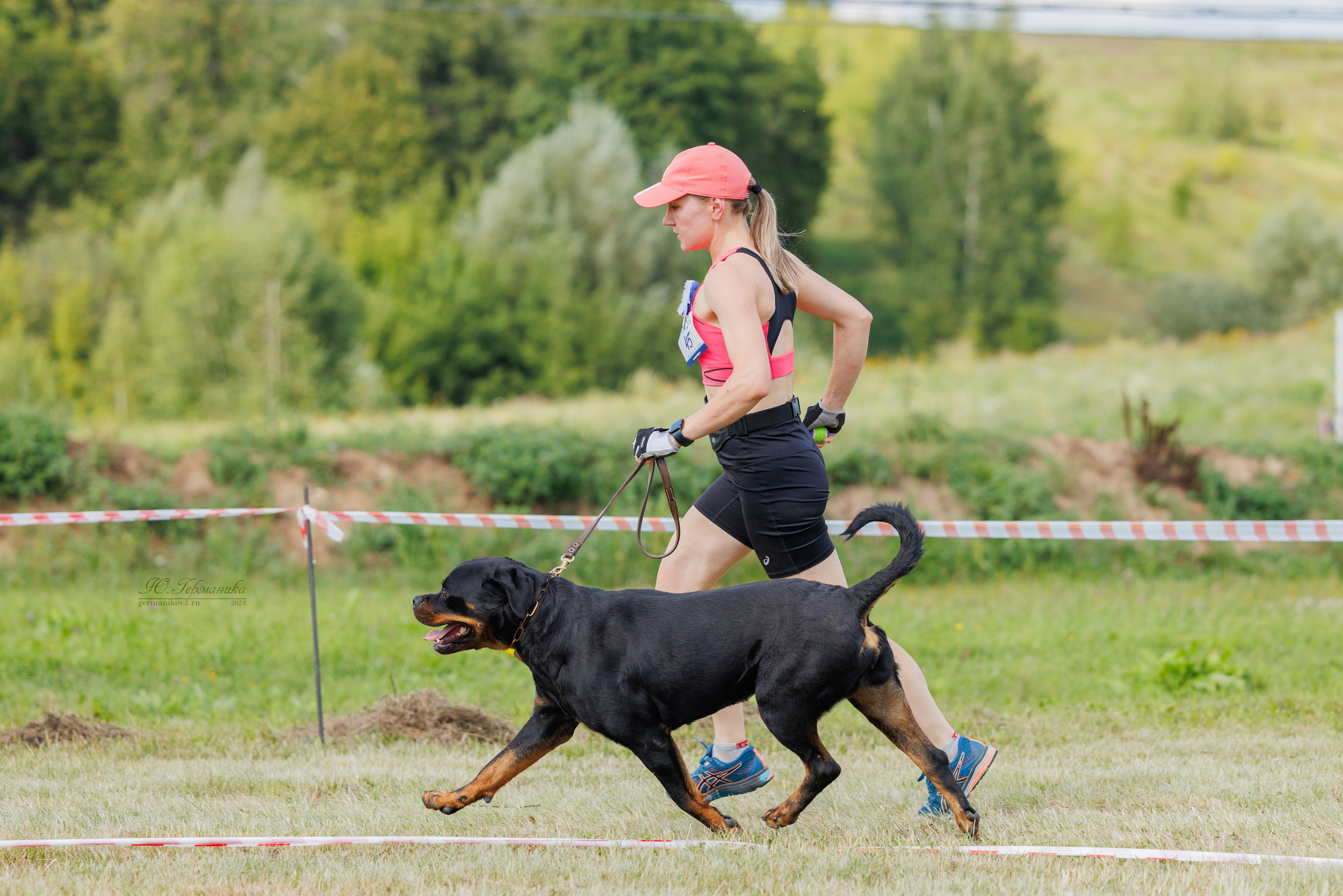 Рязань-Ховрино 10-11.08.2024 3хмоно ротвейлеров. Фотограф-анималист Юлия Германика