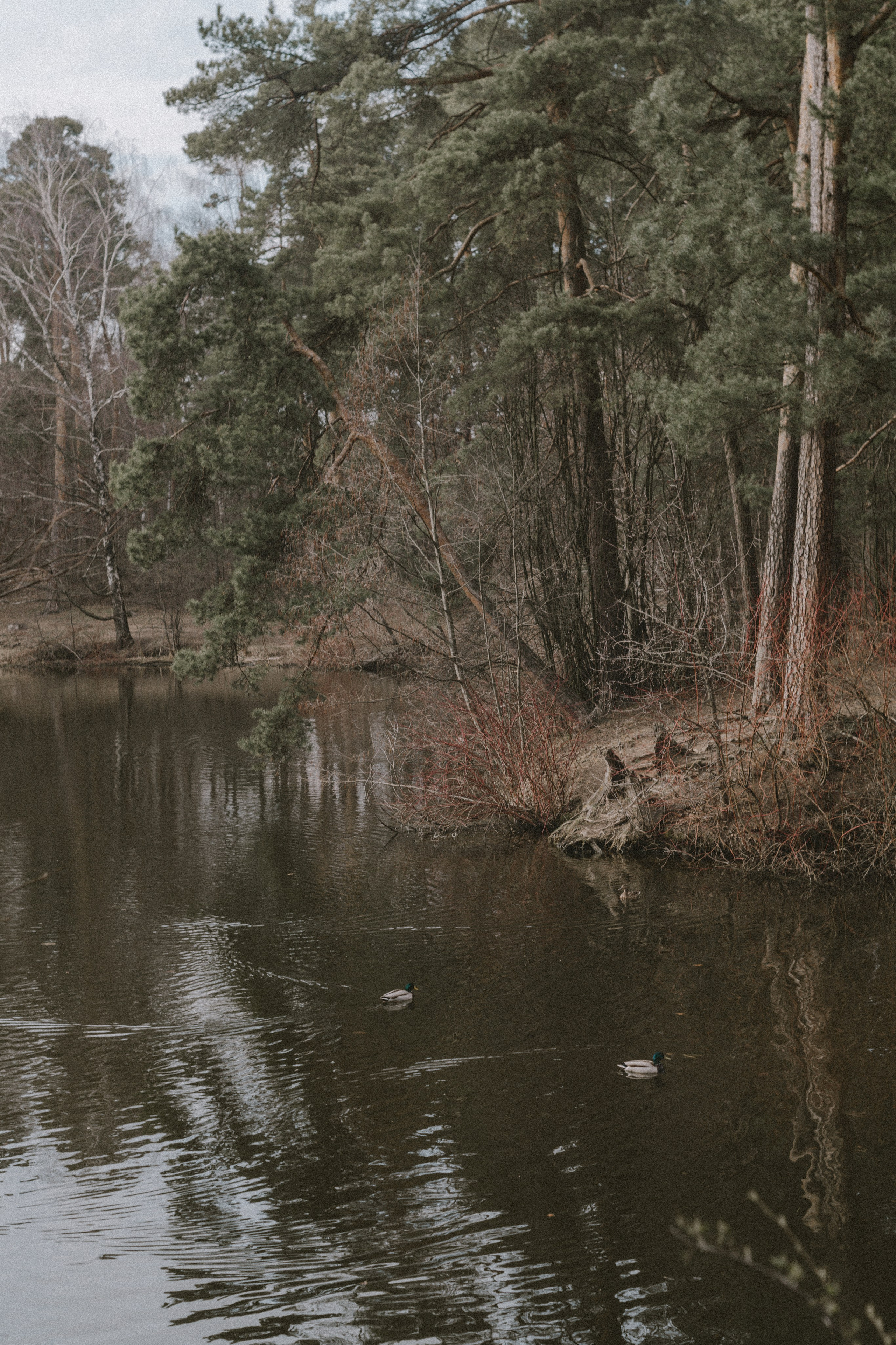 Саша. Фотограф Екатерина Катунова | Москва