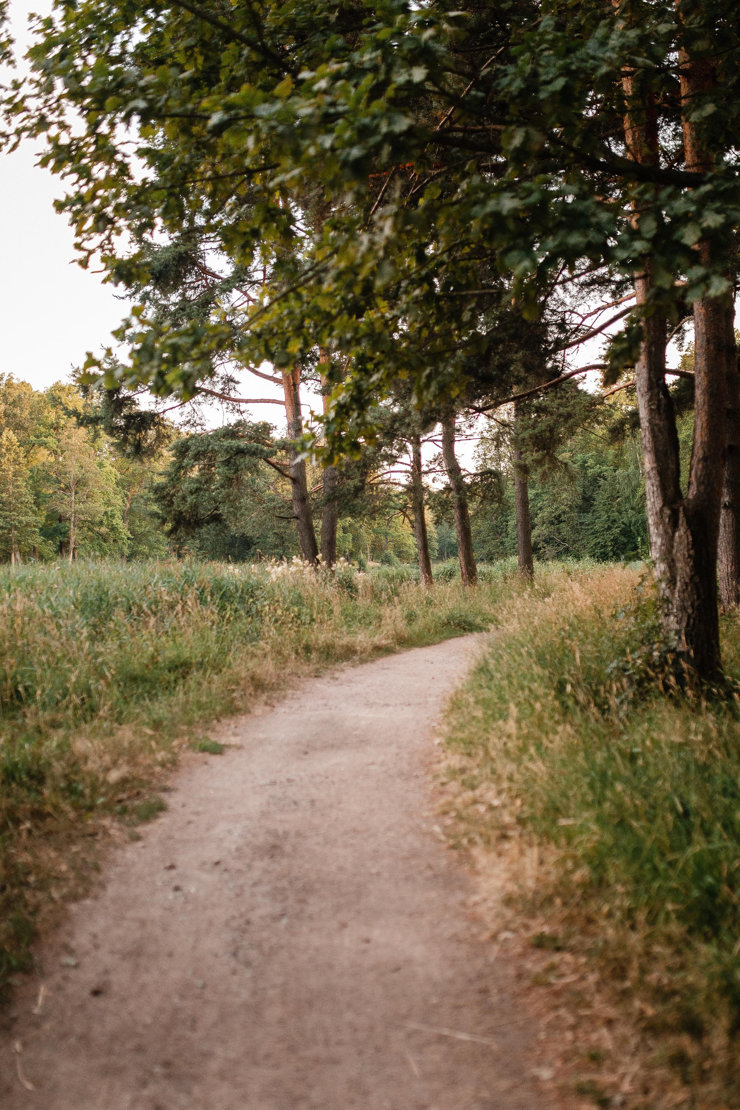 Лиза и Даня. Теплый летний вечер. Семейный и свадебный фотограф Полина Принцева