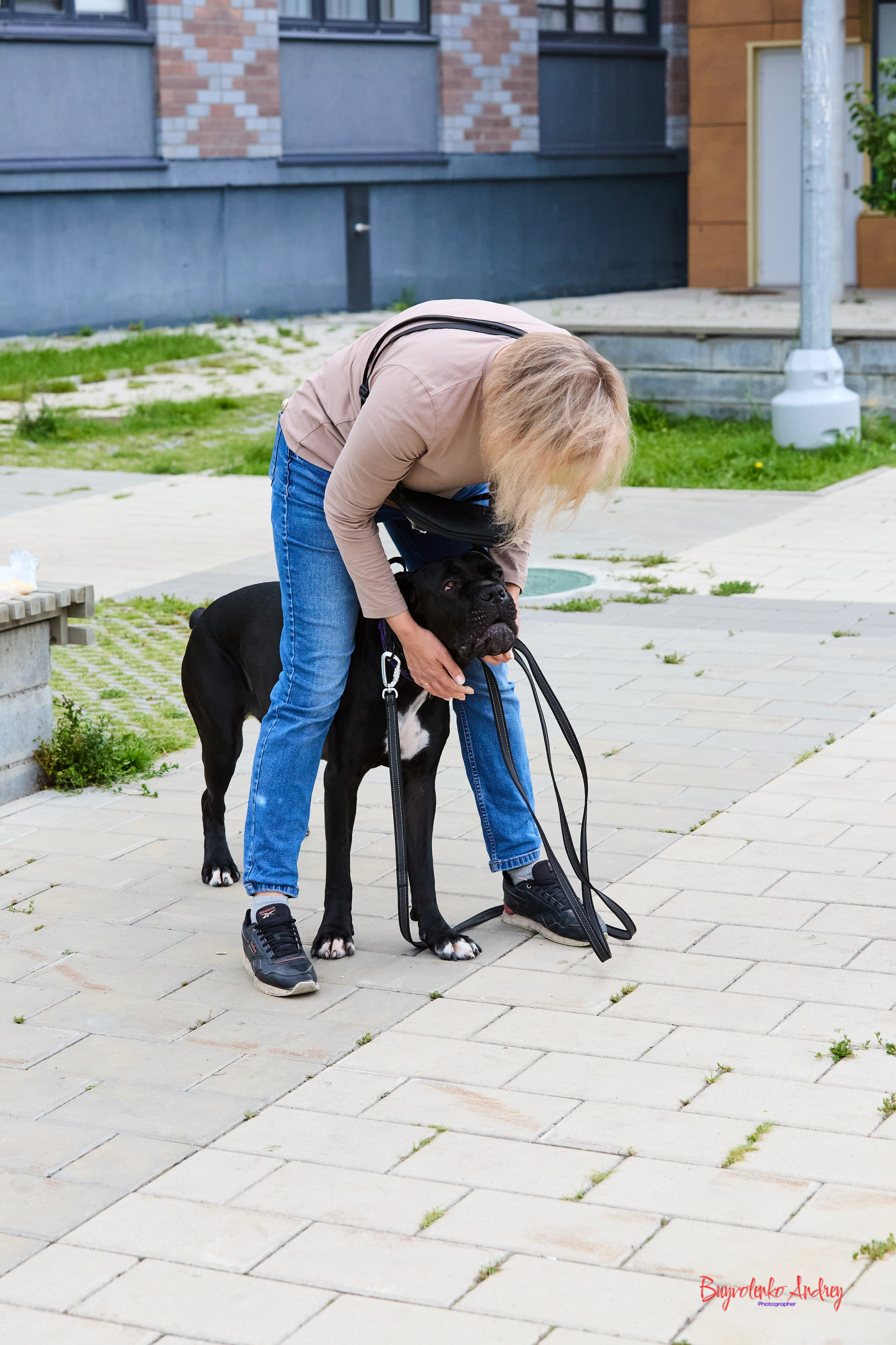 Проект фотопрогулка с хвостиком. Buyvolenko Andrey