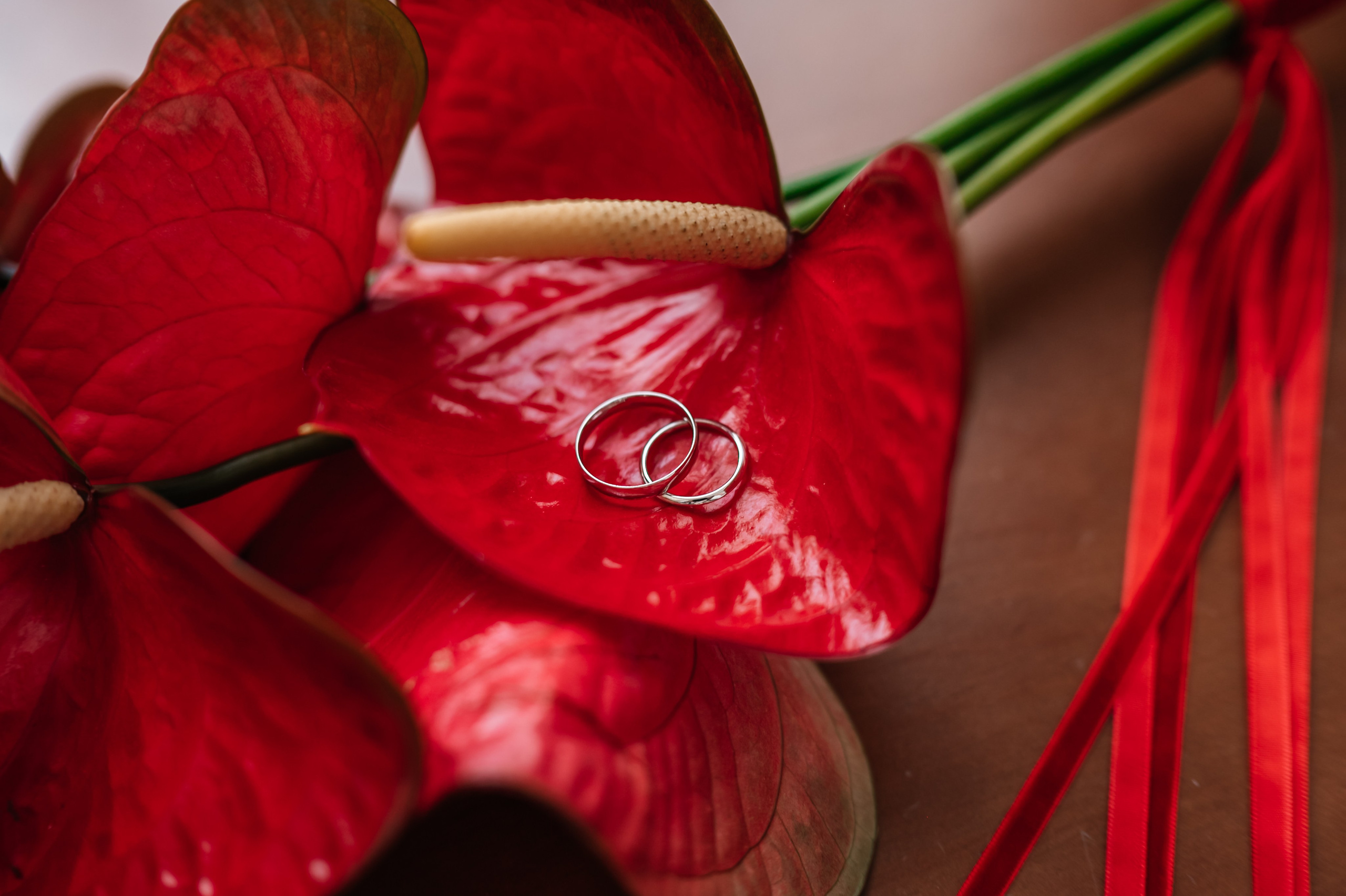 Полина и Михаил. Фотограф в Москве Елена Брюханова