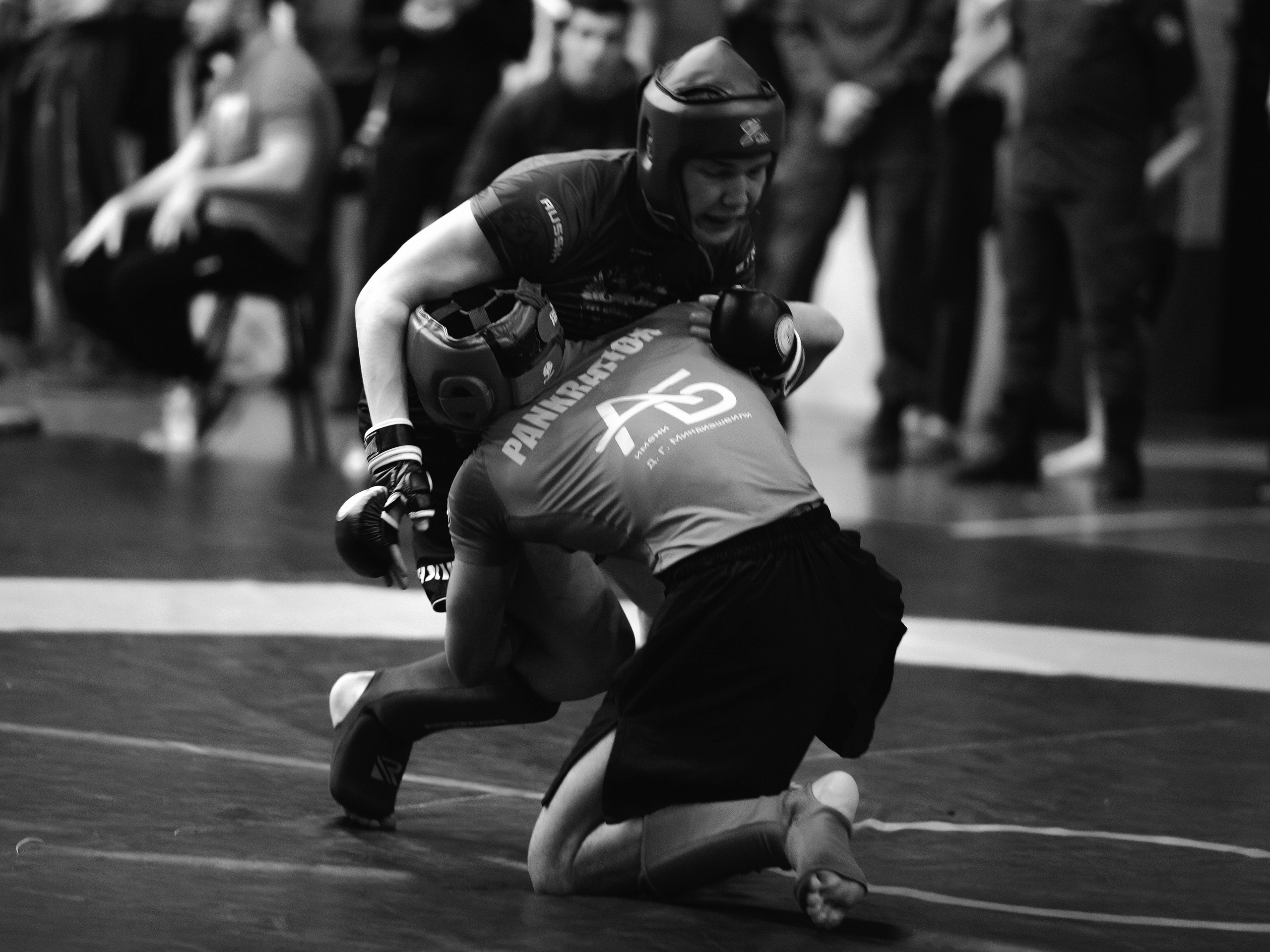 Кубок России по спортивной борьбе панкратион `23. Портретный фотограф в Москве Дарья Цезария