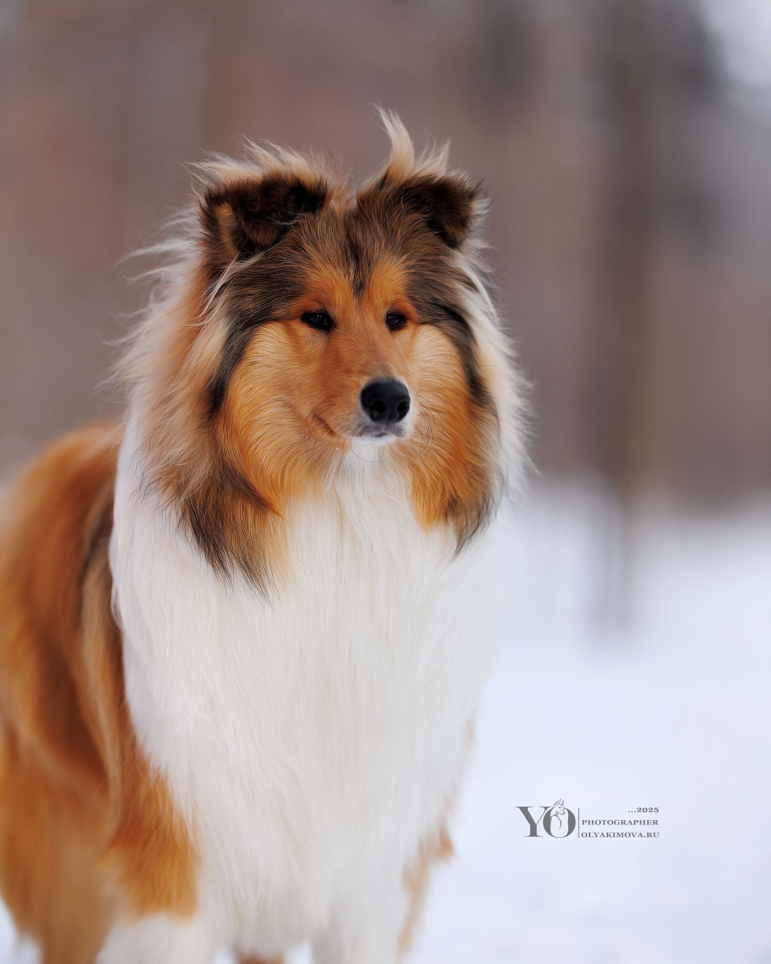 Экстерьер. Фотограф