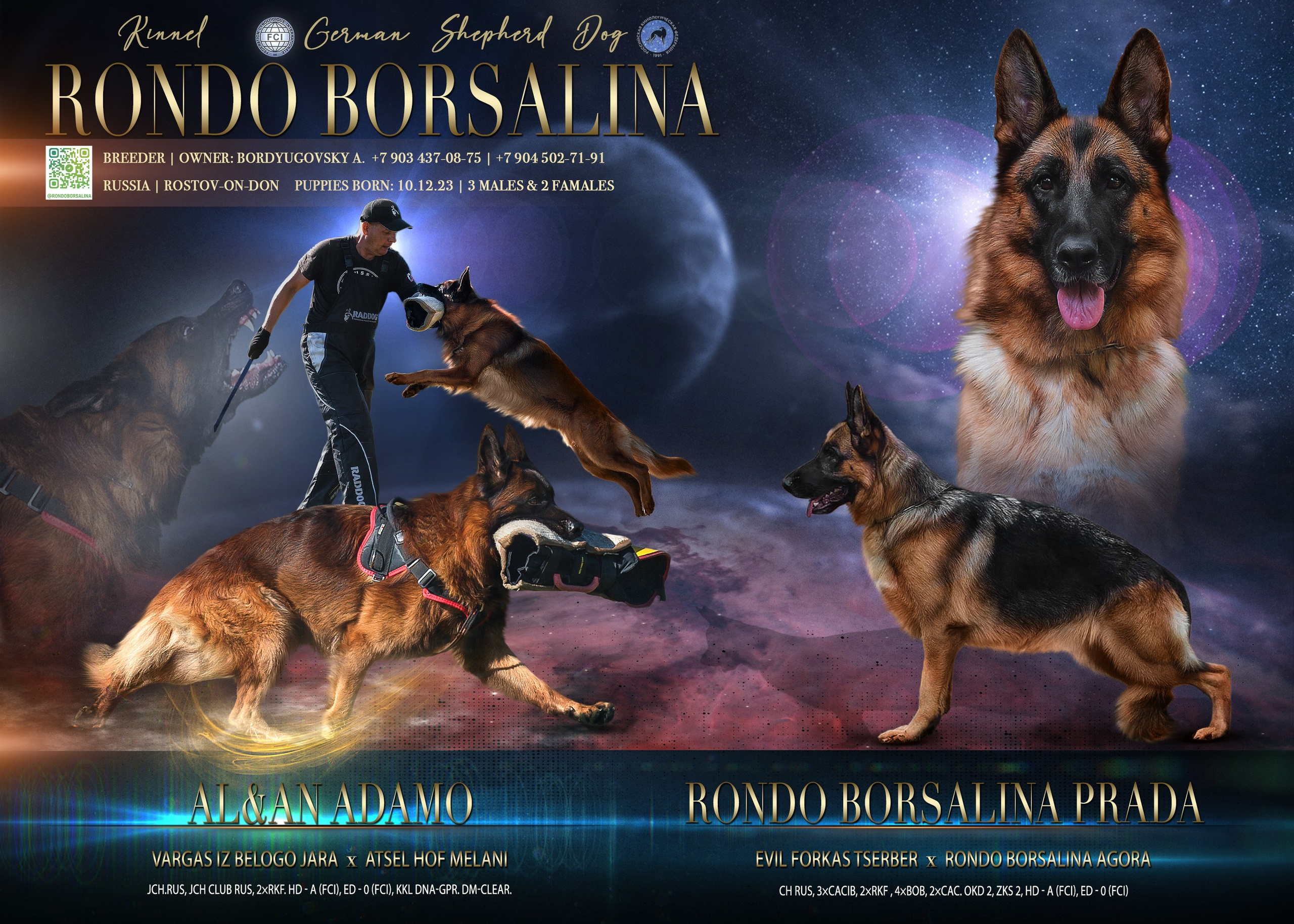 Animal presentation. Фотограф