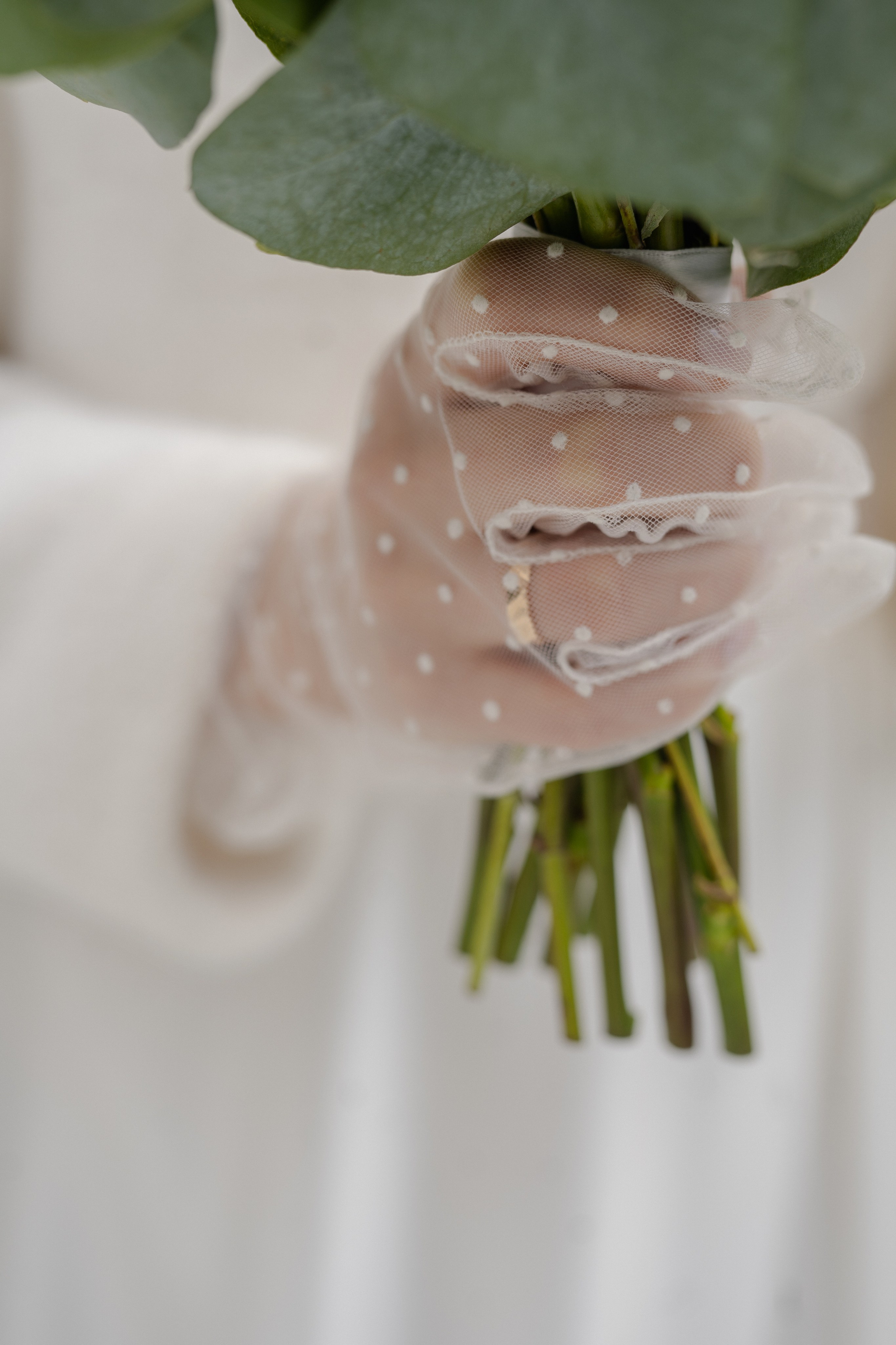 Ксения и Василий. Хвоя. Фотограф Аля Овчарова