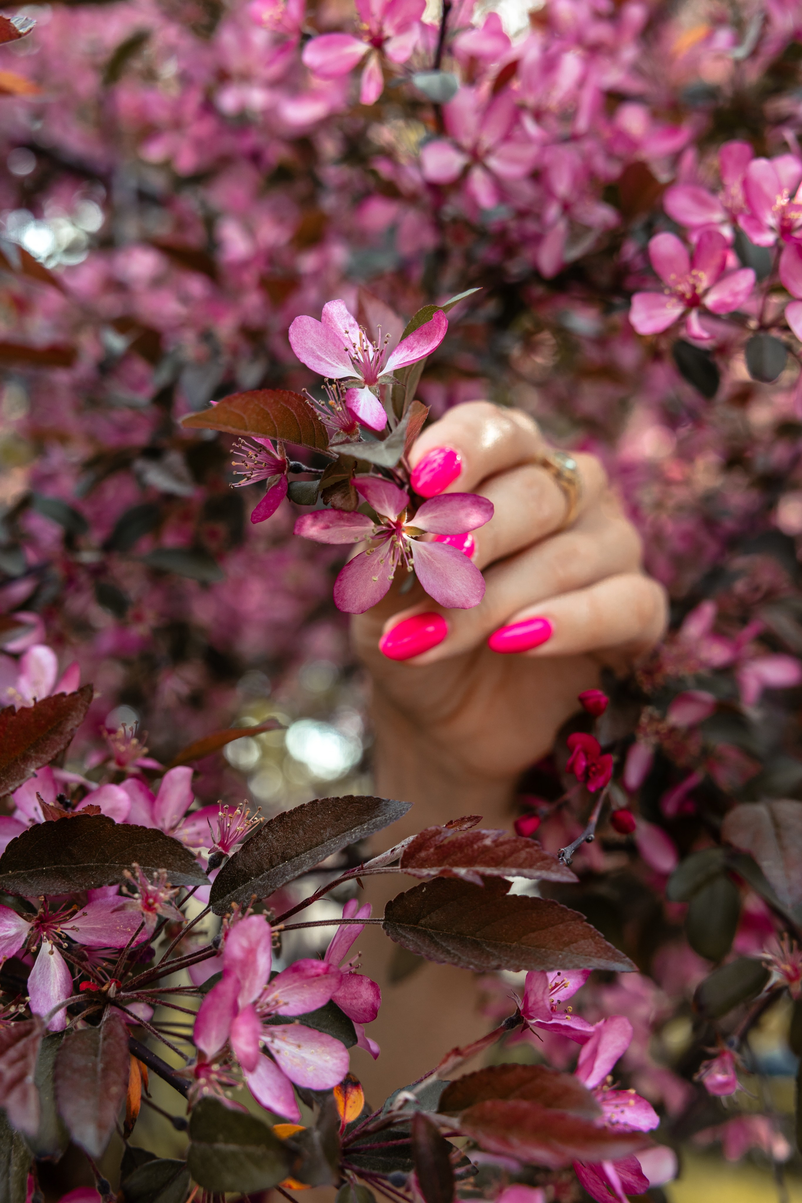 Анна & Мария. Фотограф Виктория Волкова. Москва
