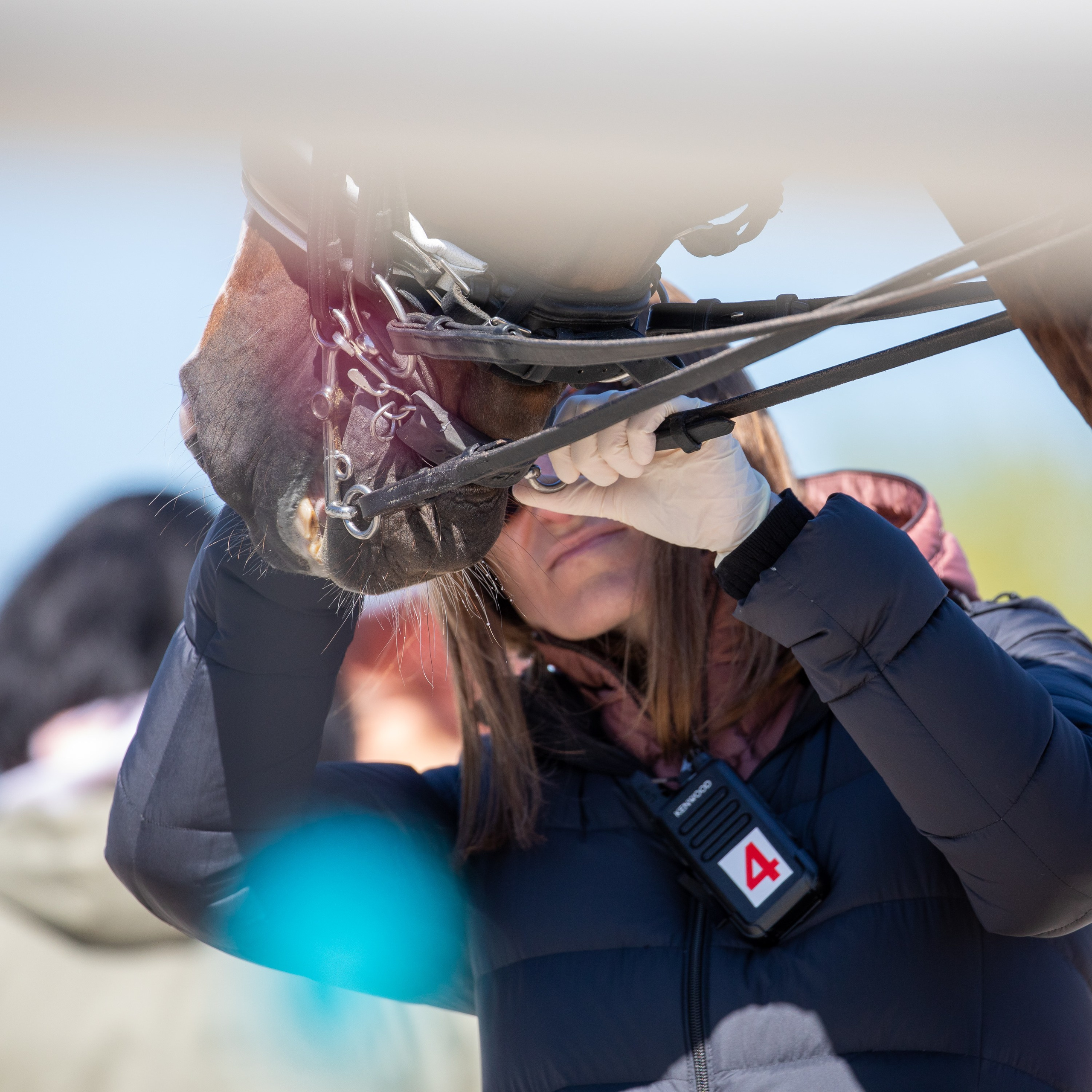 Выездка. Mrs.Aquarelia Конный фотограф Марианна Леонтьева