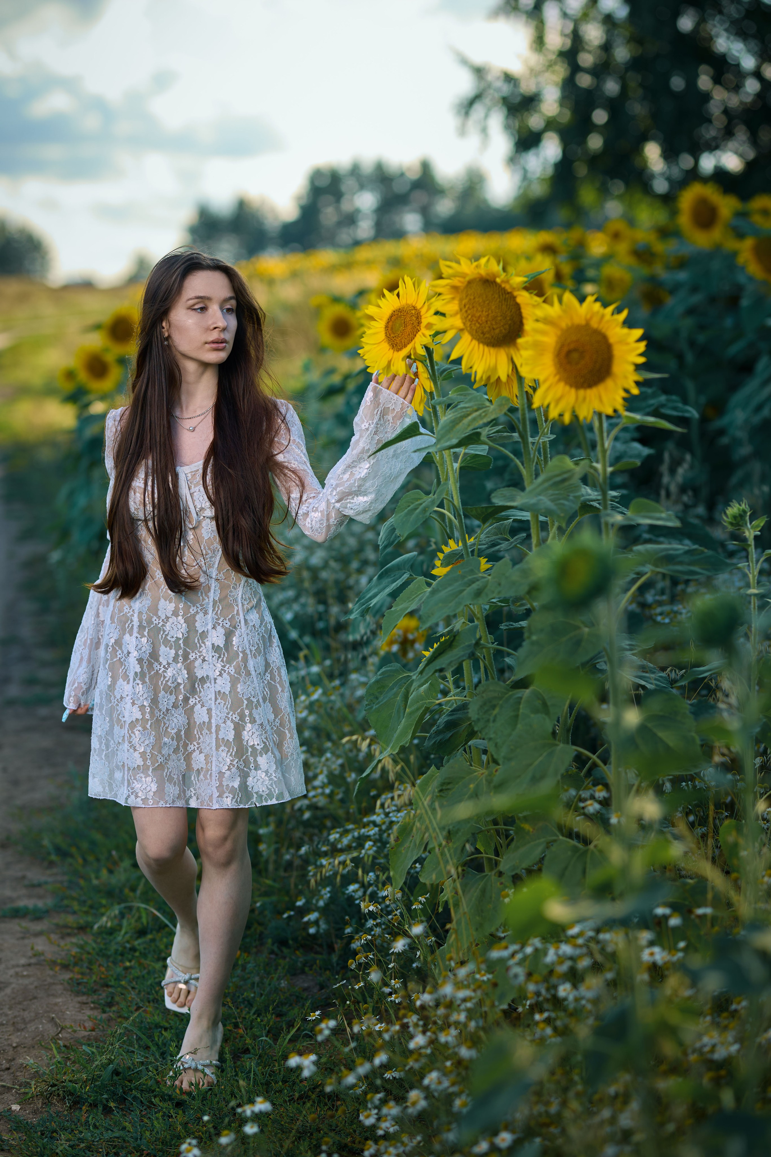 Фотосессия в подсолнухах 2. Владимир Суздалов (ProMaXe) — Портретный фотограф, тематические фотосессии в Чебоксарах