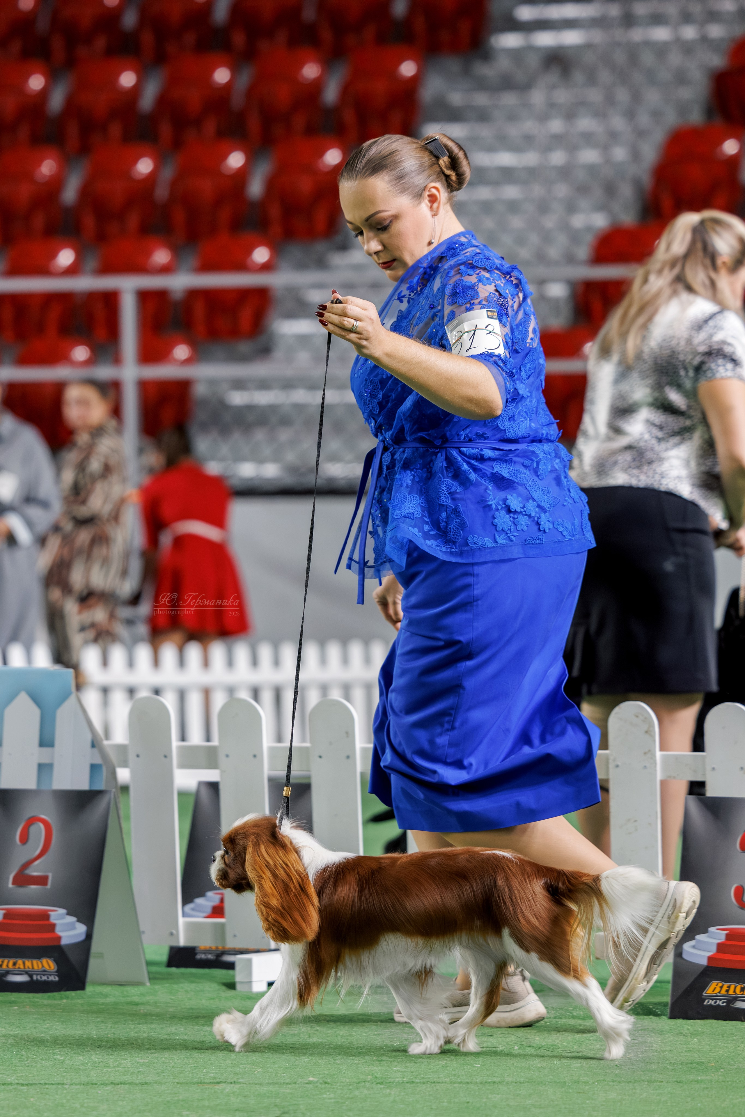 Телави 11-12.10.2025. Фотограф-анималист Юлия Германика