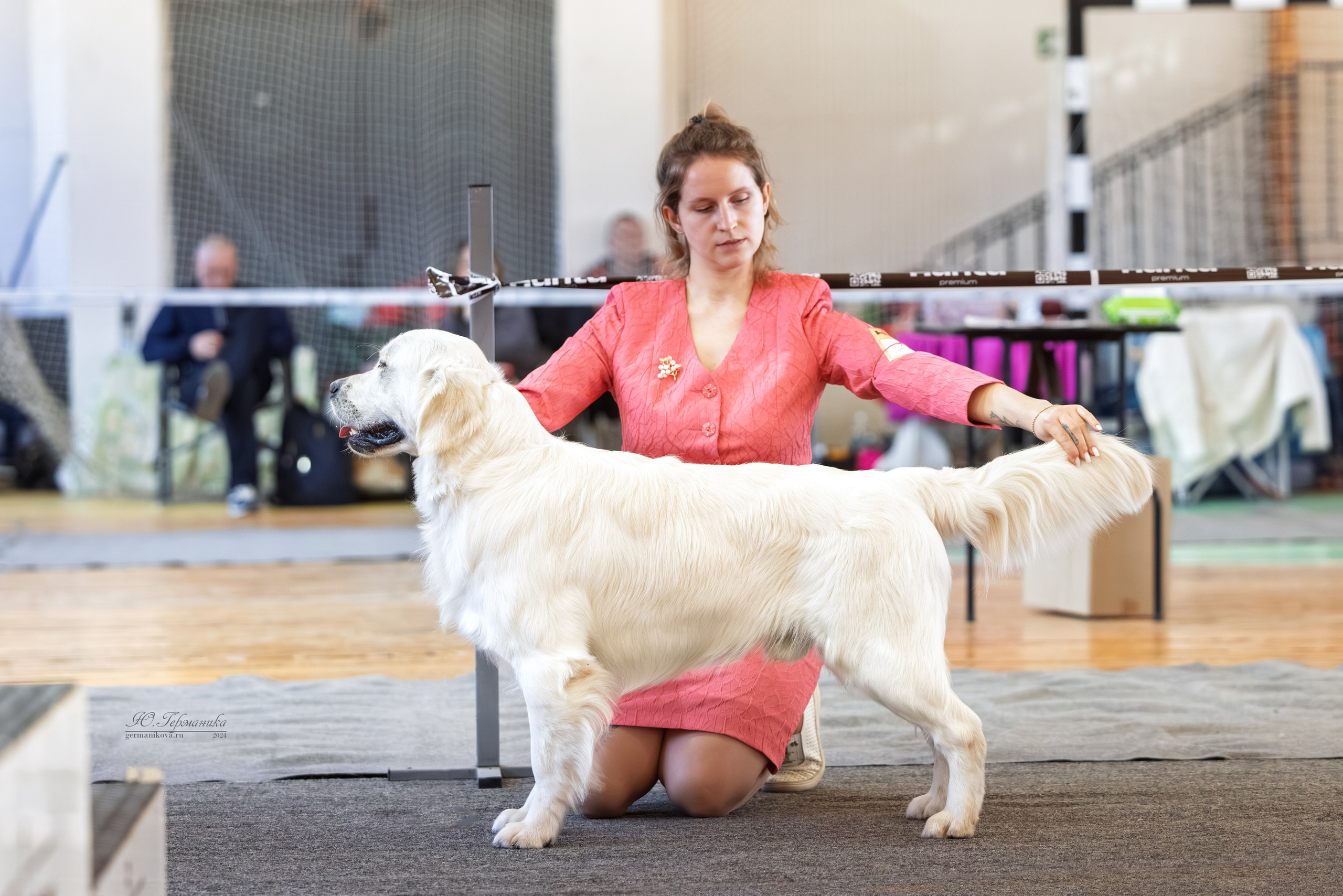 Тверь 23.03.2025. Фотограф-анималист Юлия Германика