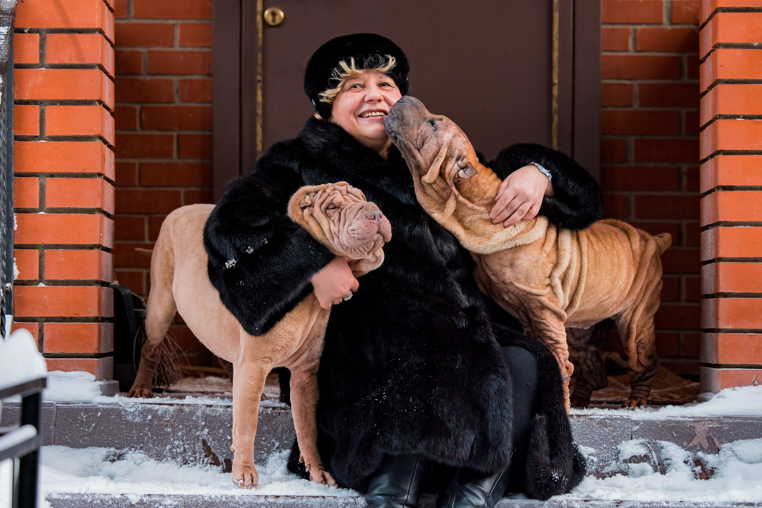 В гостях у шарпеев 16.01.2024. Фотограф-анималист Юлия Германика