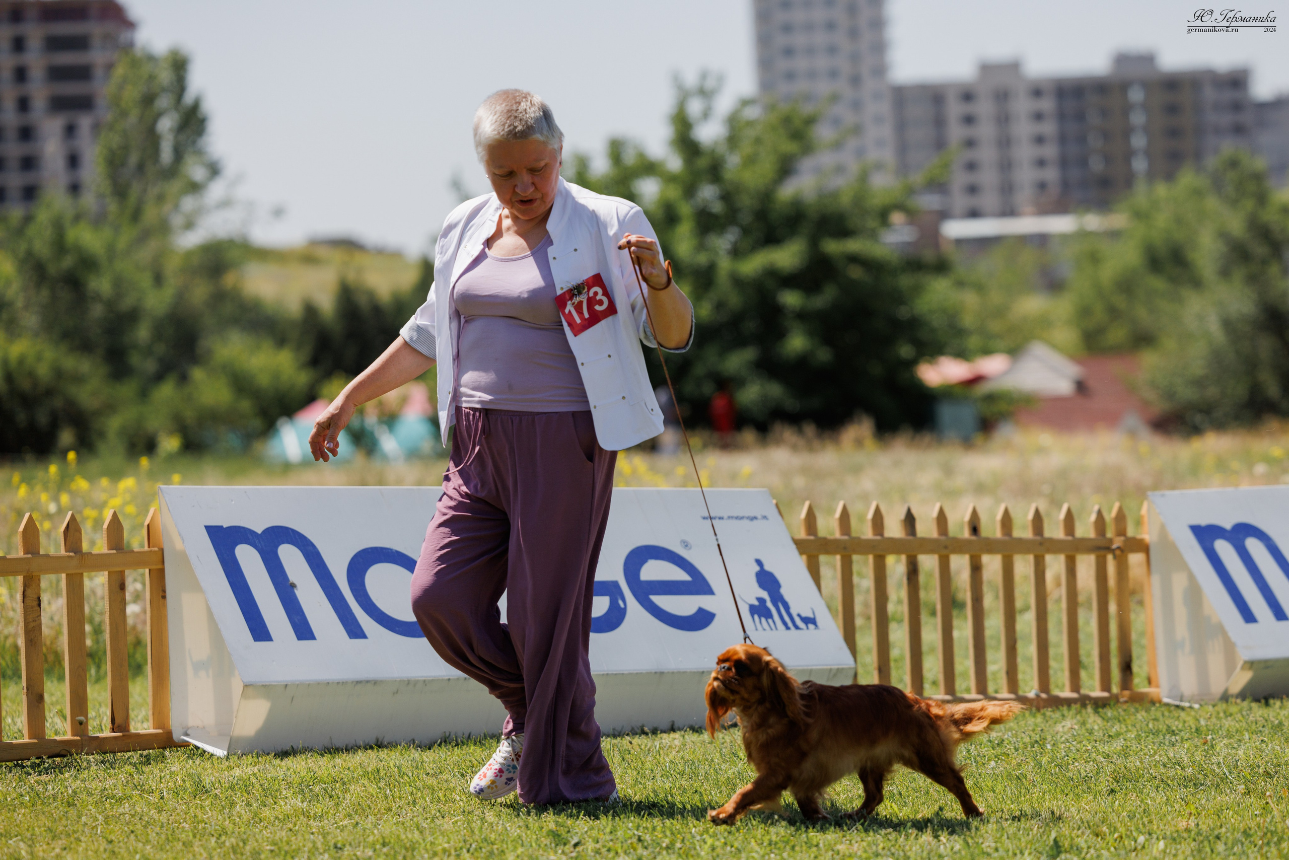 Ереван 3-5.06.2024. Фотограф-анималист Юлия Германика