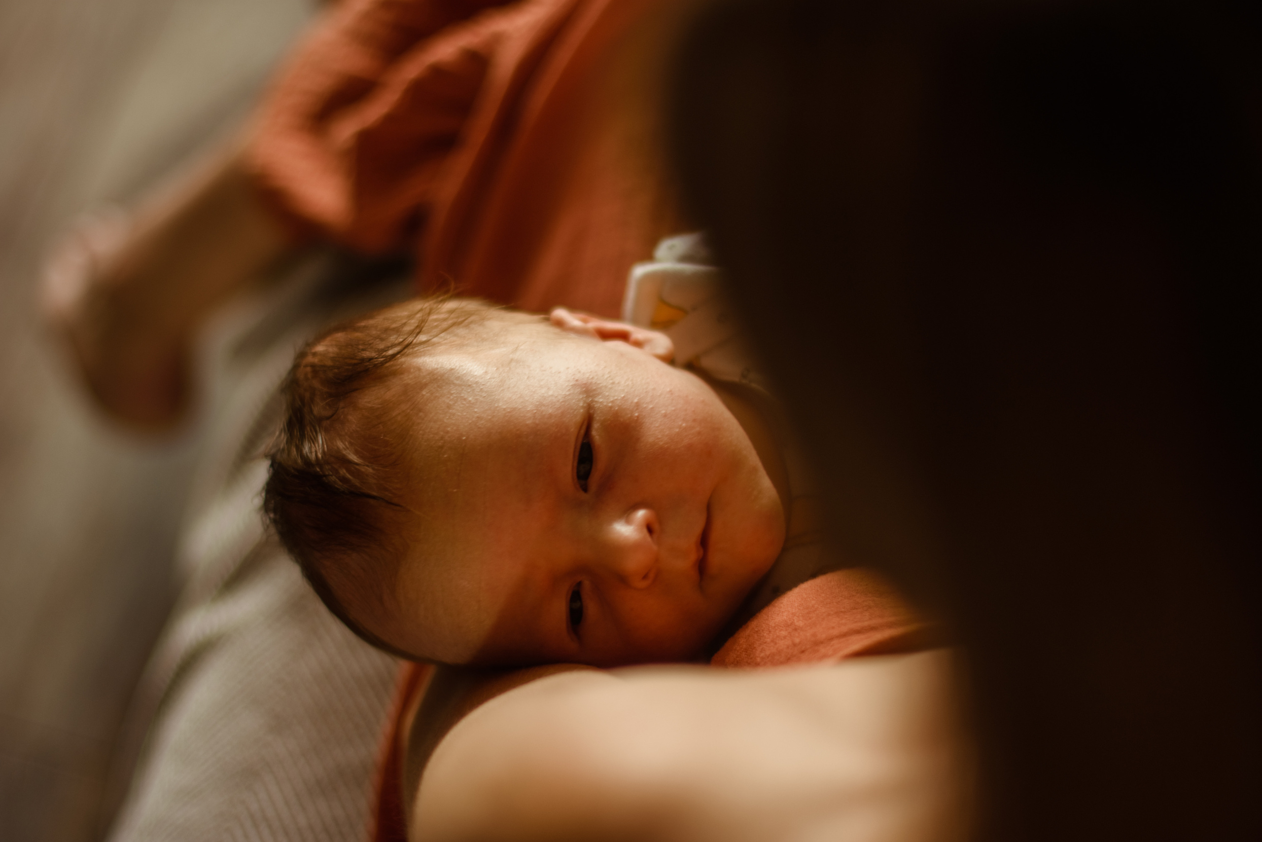 Домашняя сьемка. Женский и семейный фотограф в Костроме. Алена Шепот