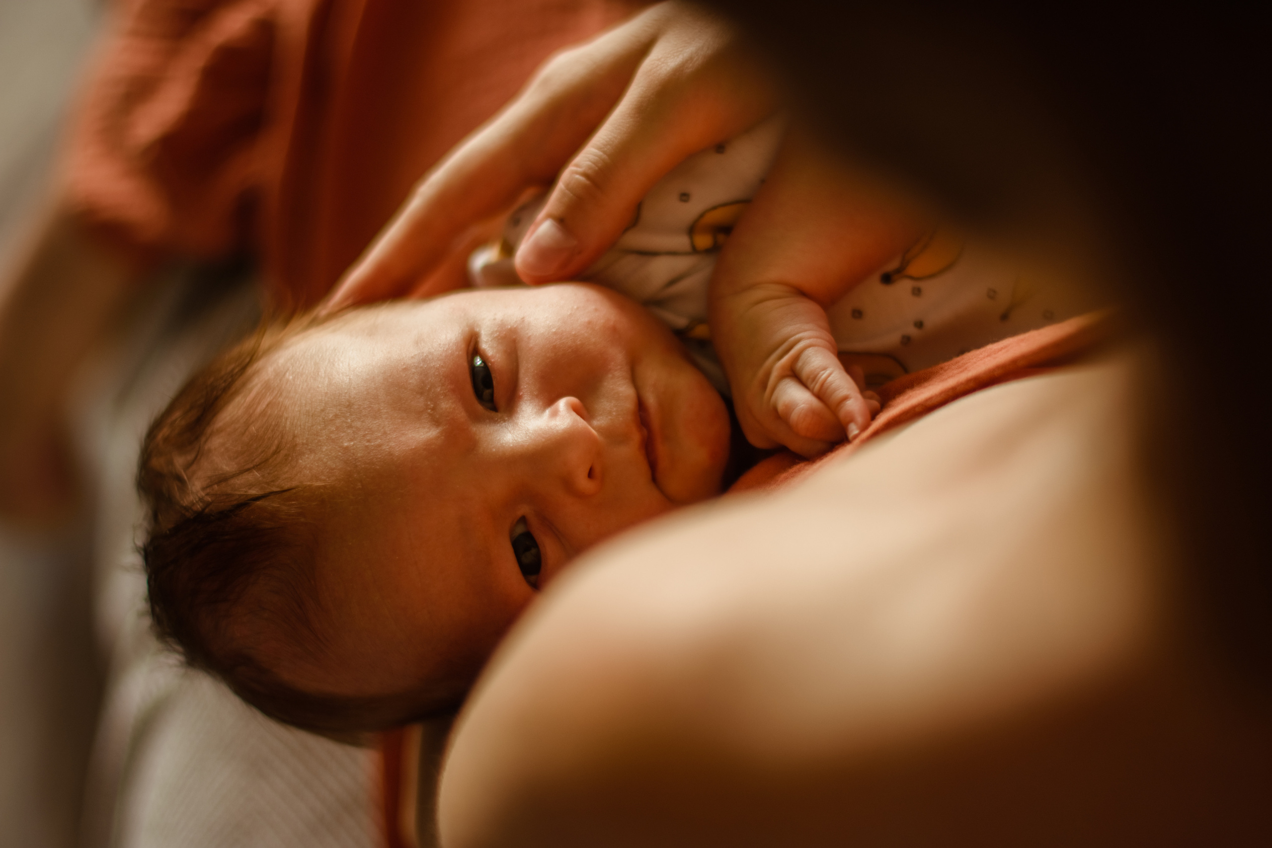 Домашняя сьемка. Женский и семейный фотограф в Костроме. Алена Шепот