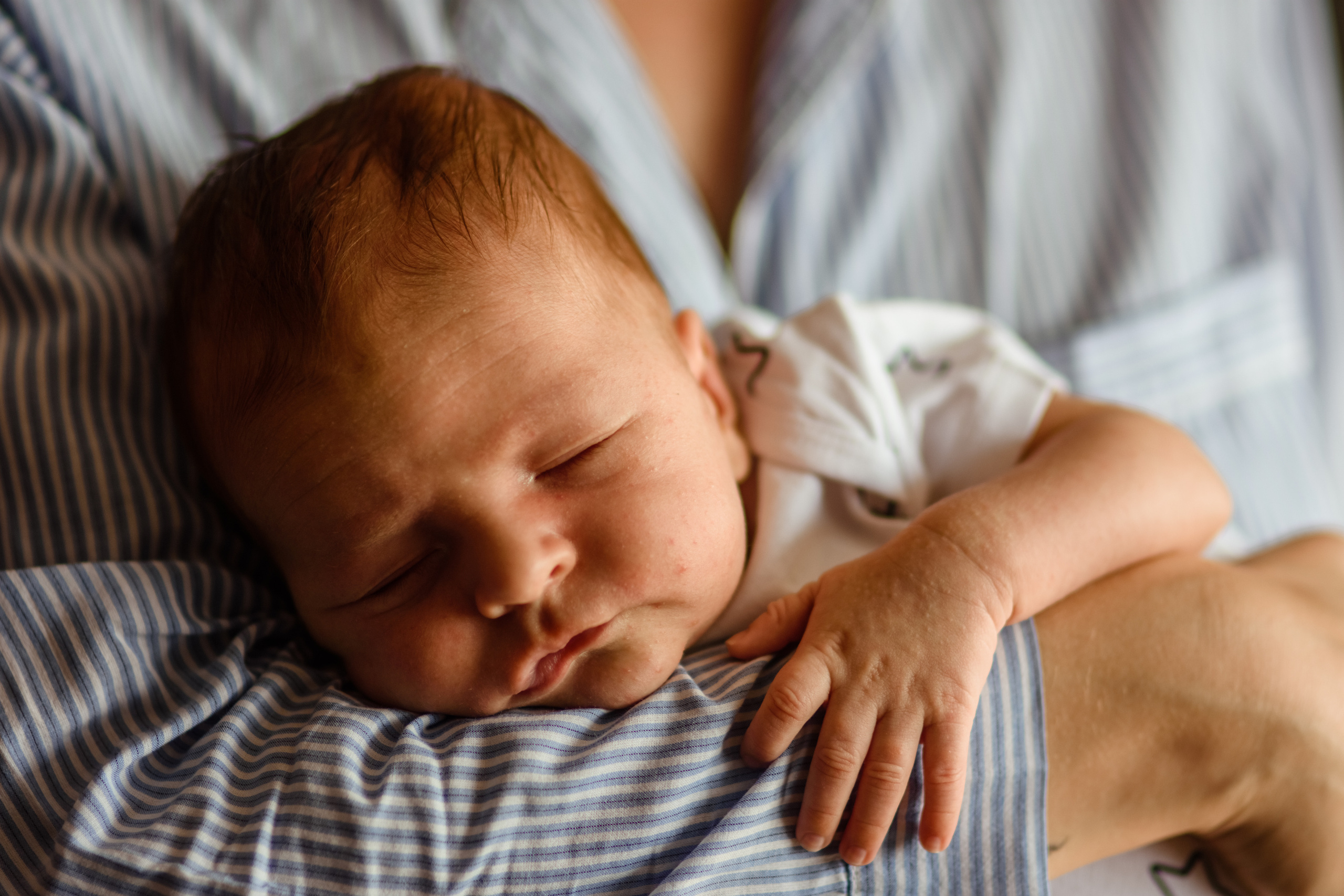 Домашняя сьемка. Женский и семейный фотограф в Костроме. Алена Шепот