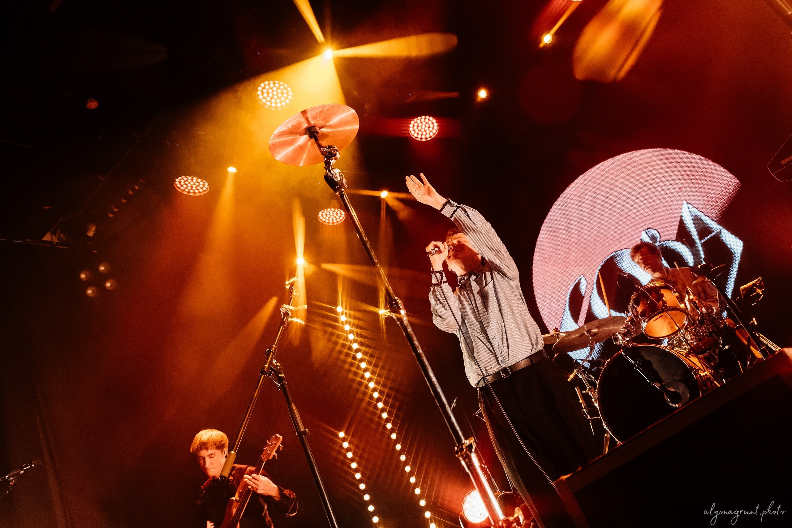 Сова, фоторепортаж, СПб, Космонавт, 18.12.2025. Алена Адрианова: фотограф в Санкт-Петербурге