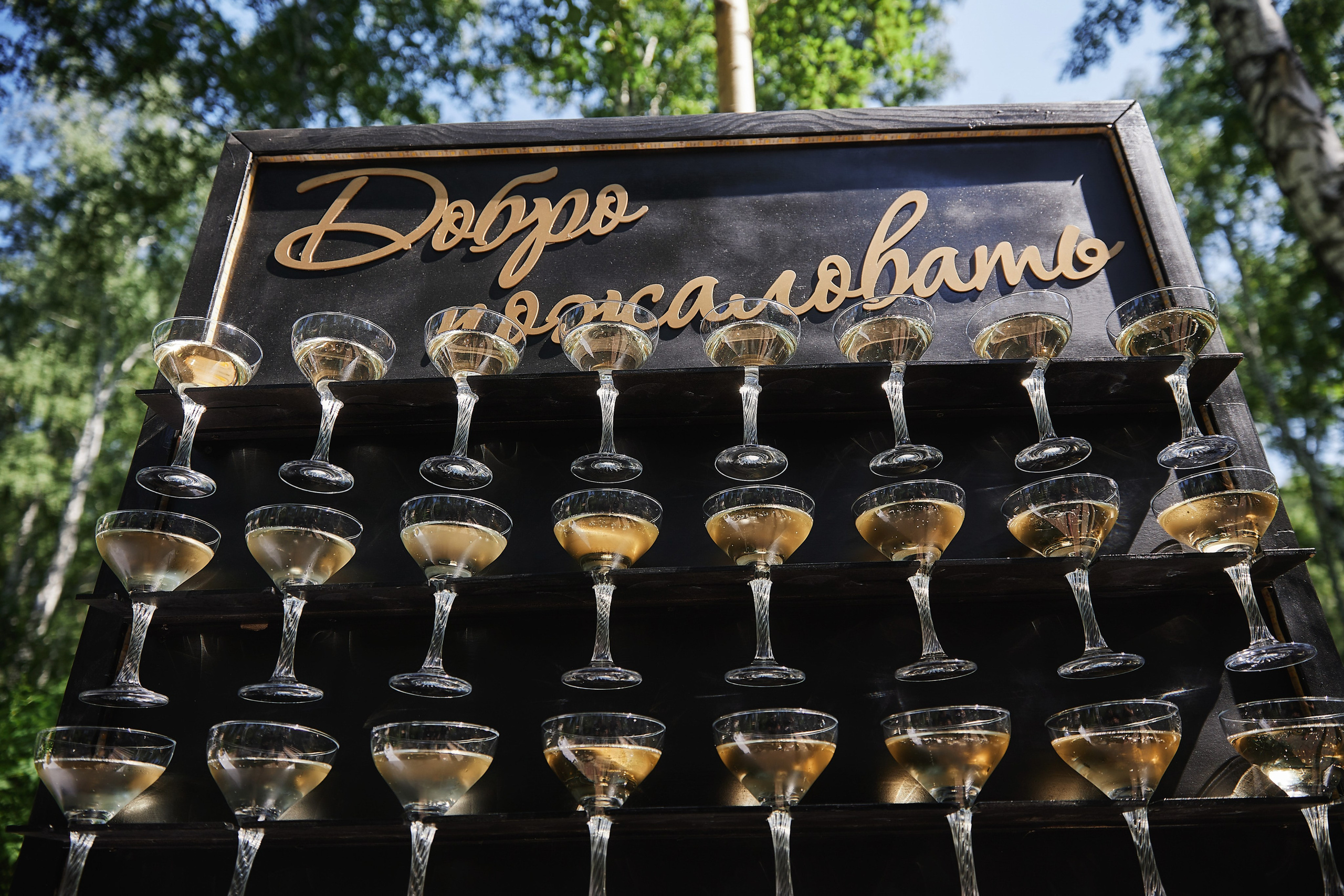 Свадебный проект «Горько» — свадьба Даши и Саши. Свадьба под ключ в Новокузнецке, Прокопьевске, Киселевске