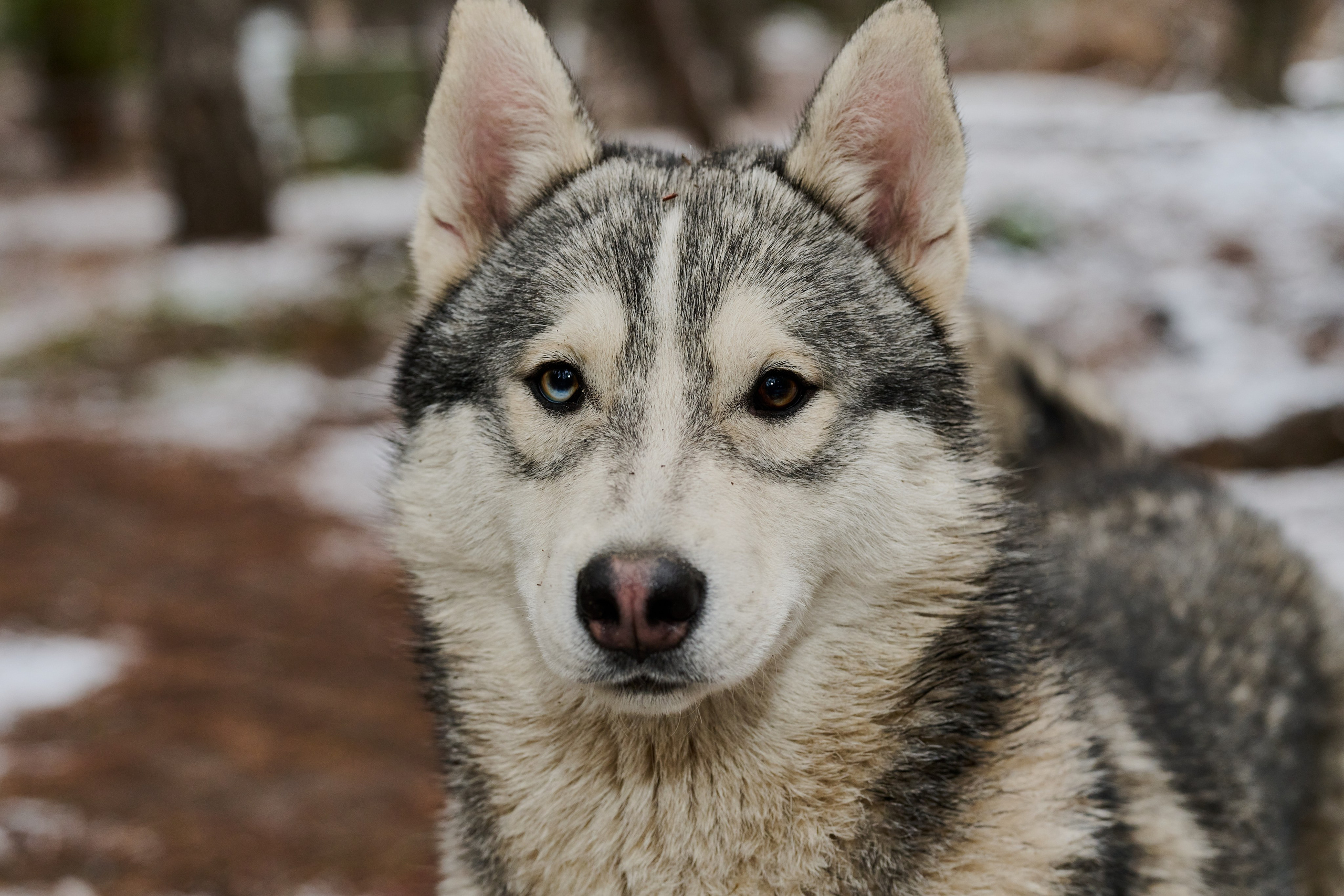 Будни съёмок фотопроекта Территории. Фотограф Роман Адлер