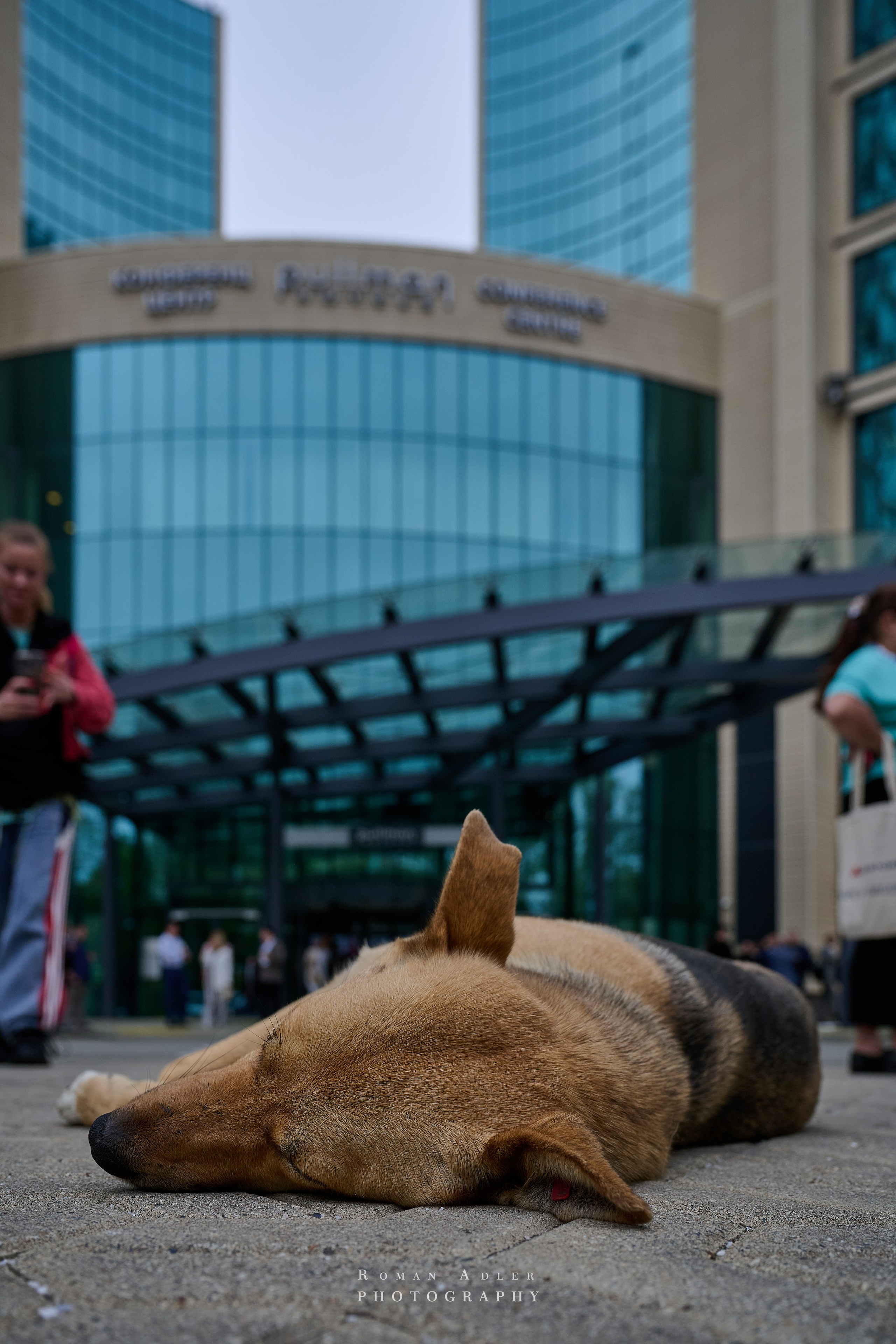 Сочи. Апрель 2025. Фотограф Роман Адлер