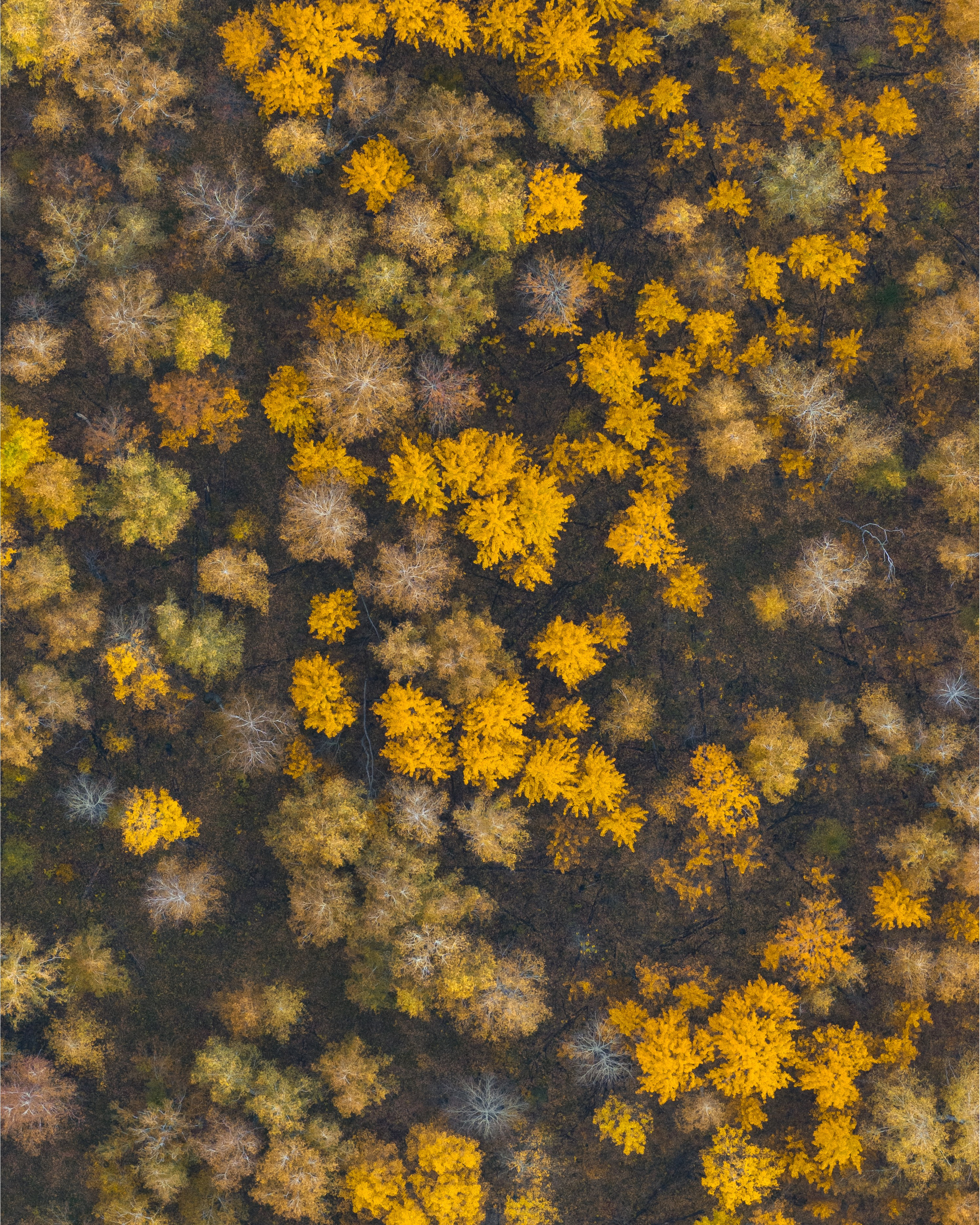 Курганская область. Gusarov Travel Photography