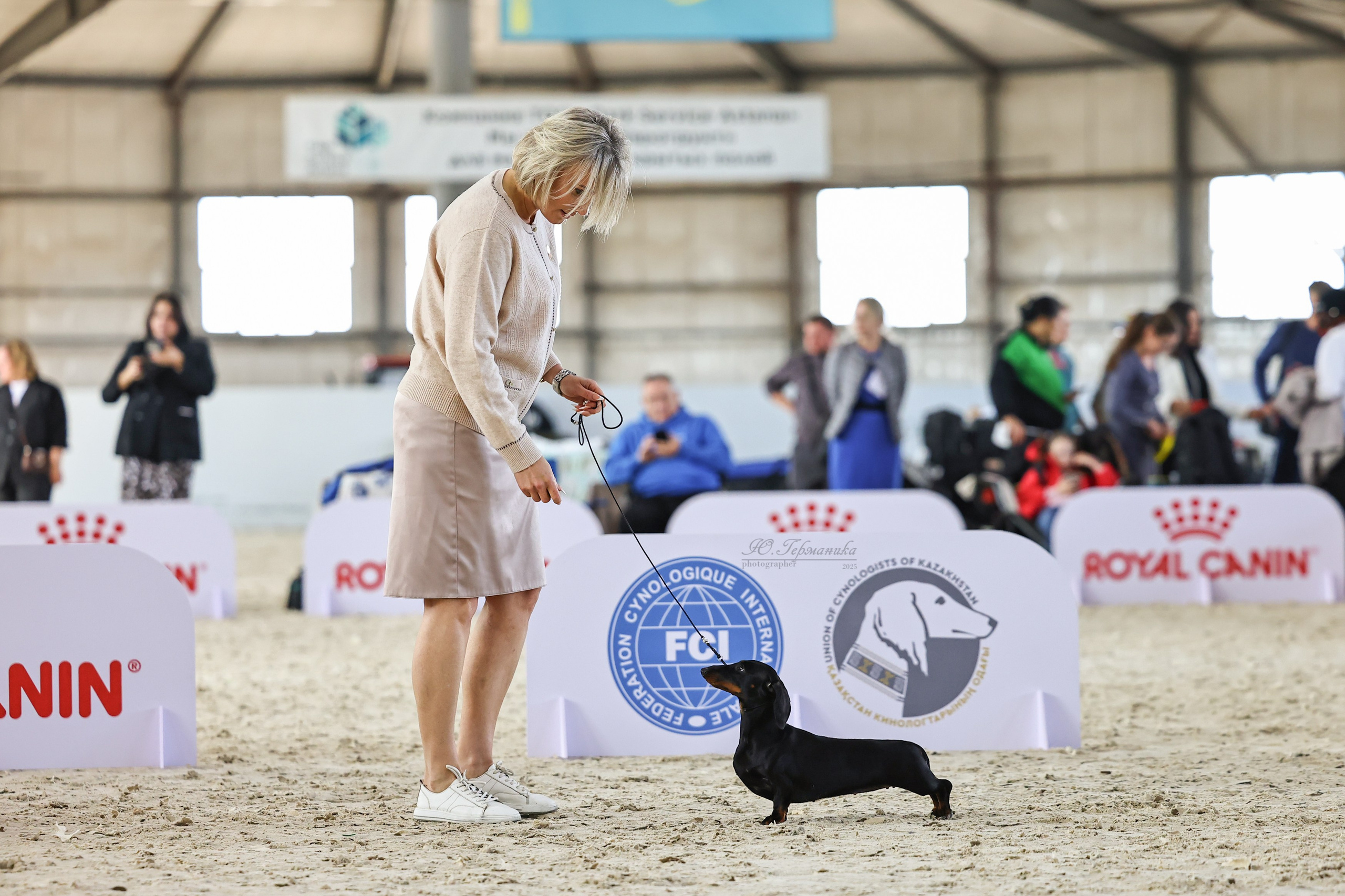 Астана 2хCACIB 26-28.09.2025. Фотограф-анималист Юлия Германика