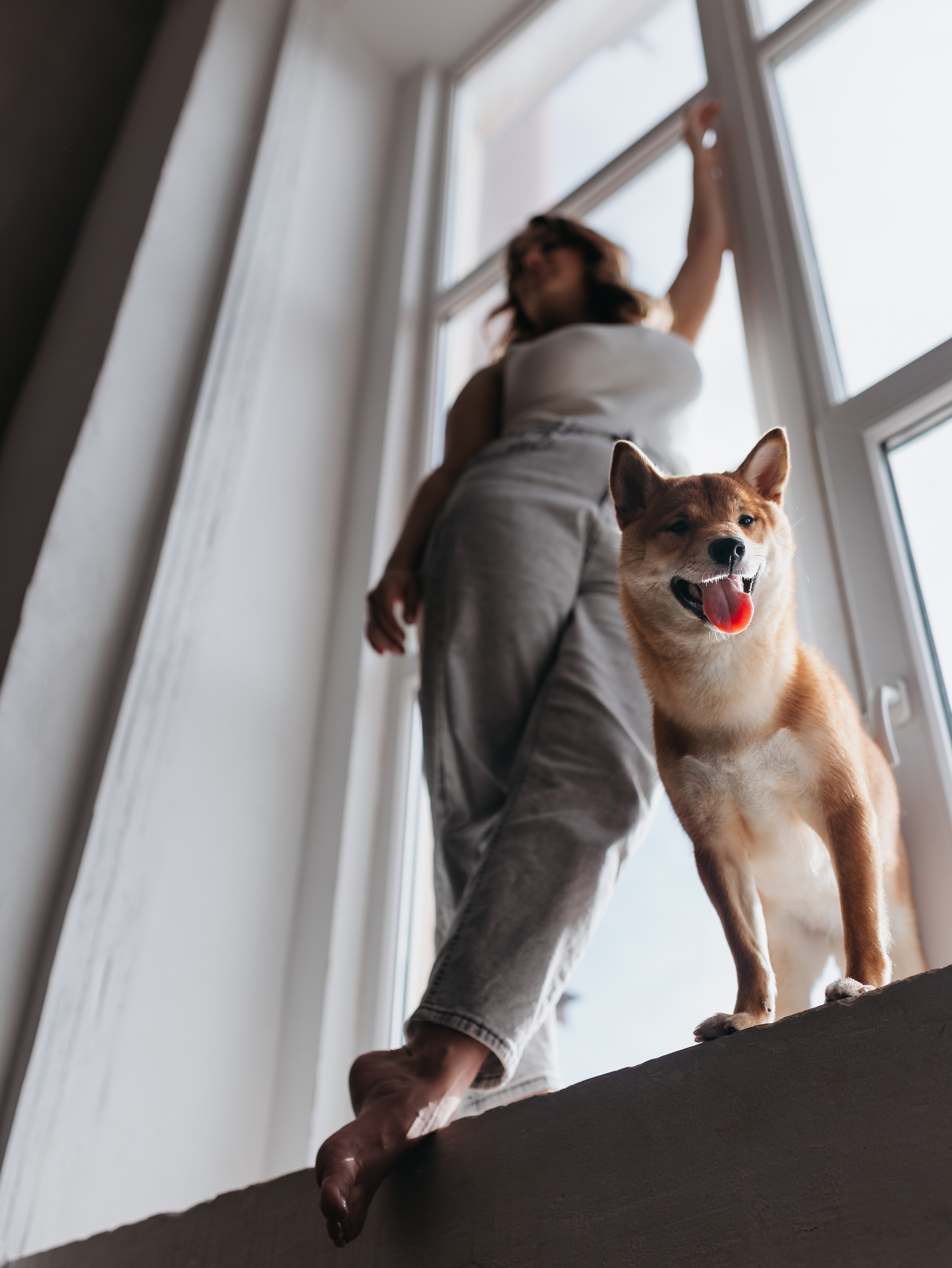 Мика и Настя. Фотограф-анималист в Москве Кириллова Татьяна