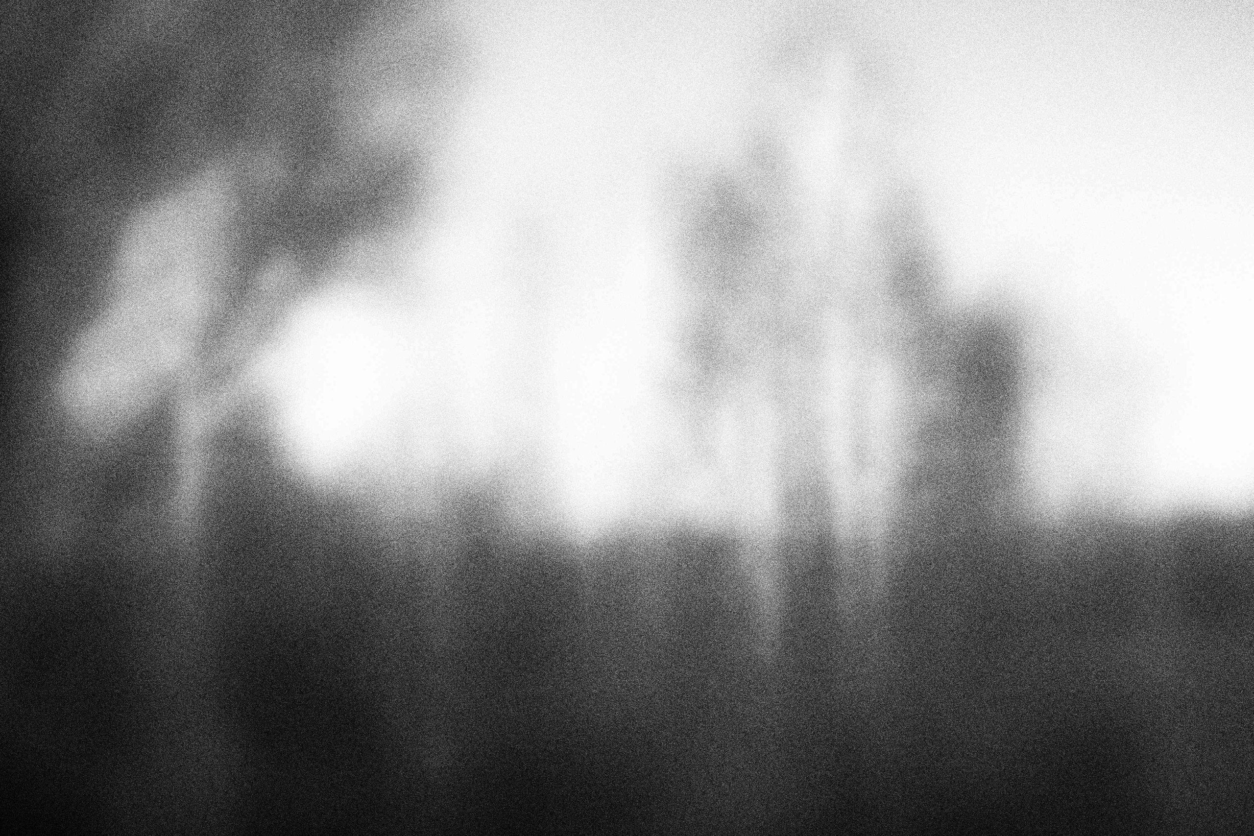 «Видеть. Чувствовать. Сохранять»