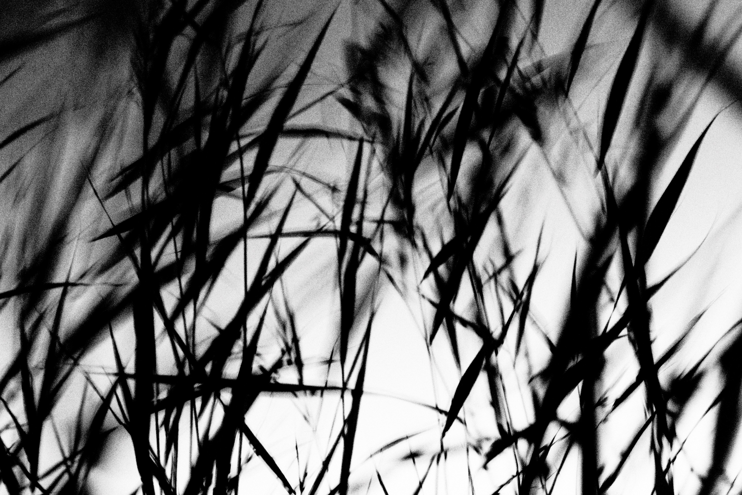 Контакты. Фотограф Алла Добровицина