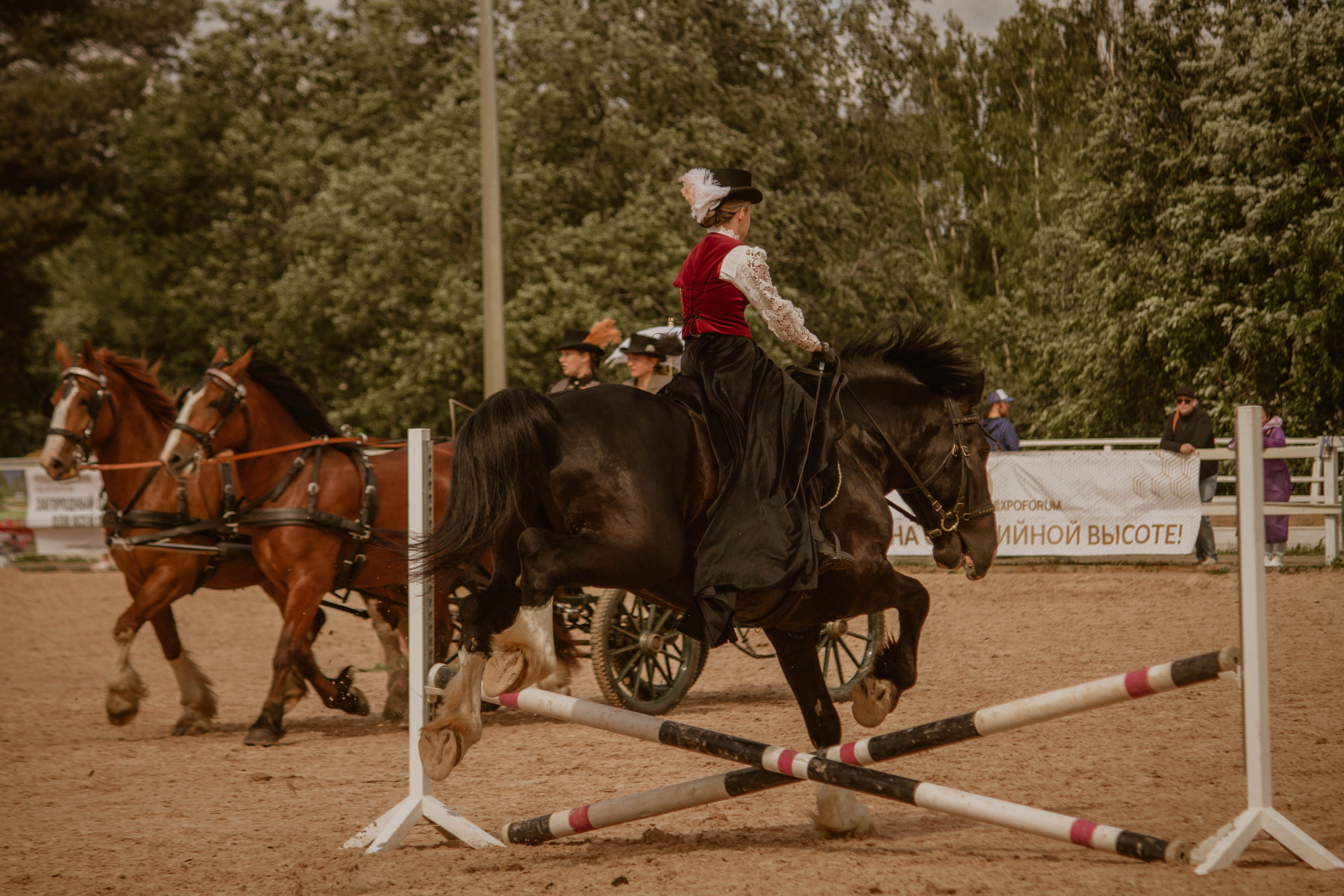 ИППОСФЕРА — Международная конная выставка. Создадим шедевр? Виталина и её фотоискусство