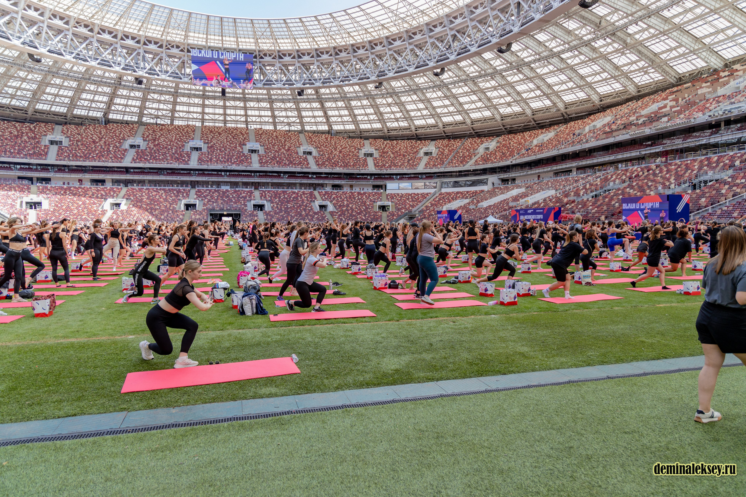 День Московского спорта в Лужниках 2024. Репортажный, семейный и студийный фотограф в Москве Демин Алексей