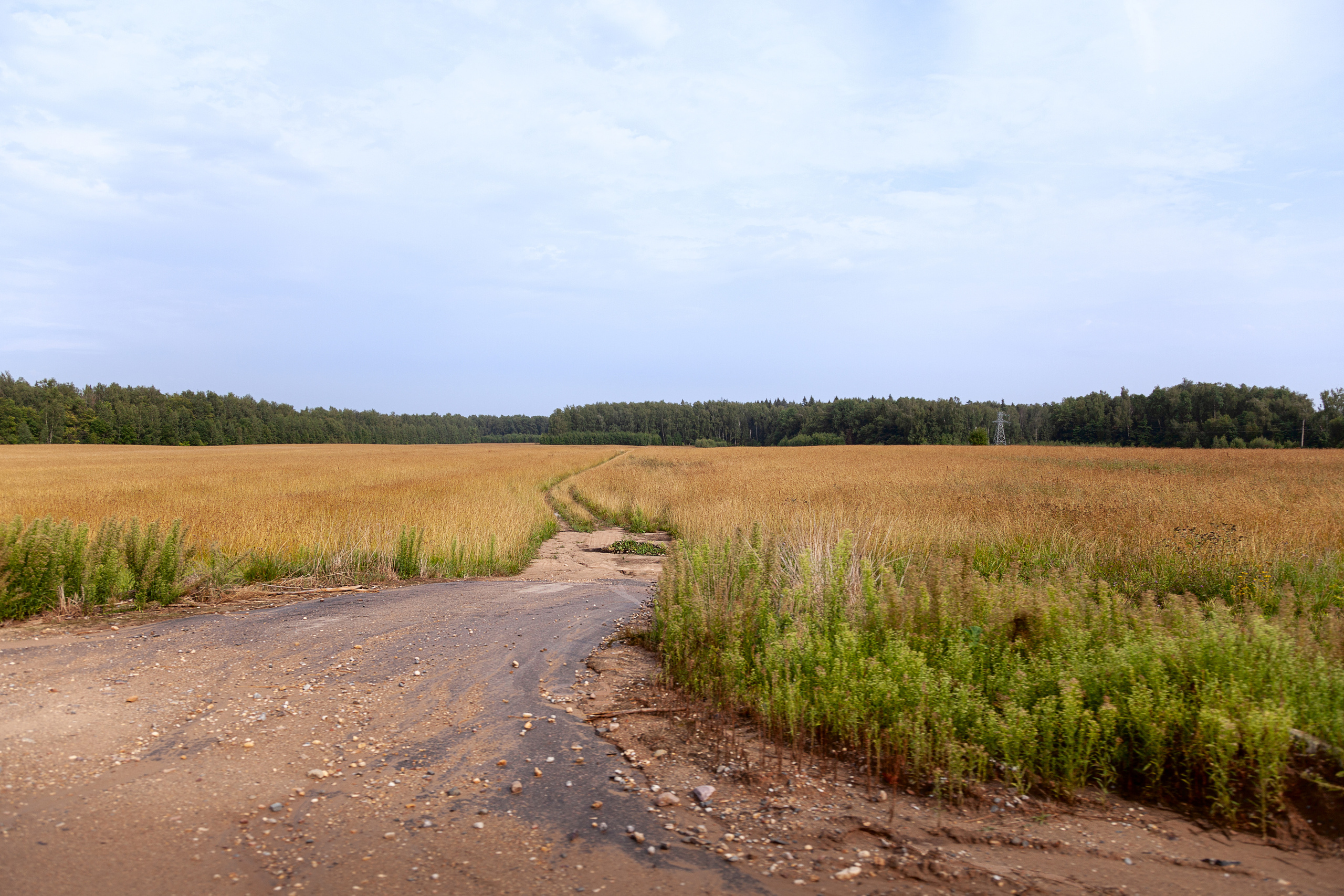 Дорожные путешествия 2021. Фотограф и ретушер Маргарита Павлюк Москва