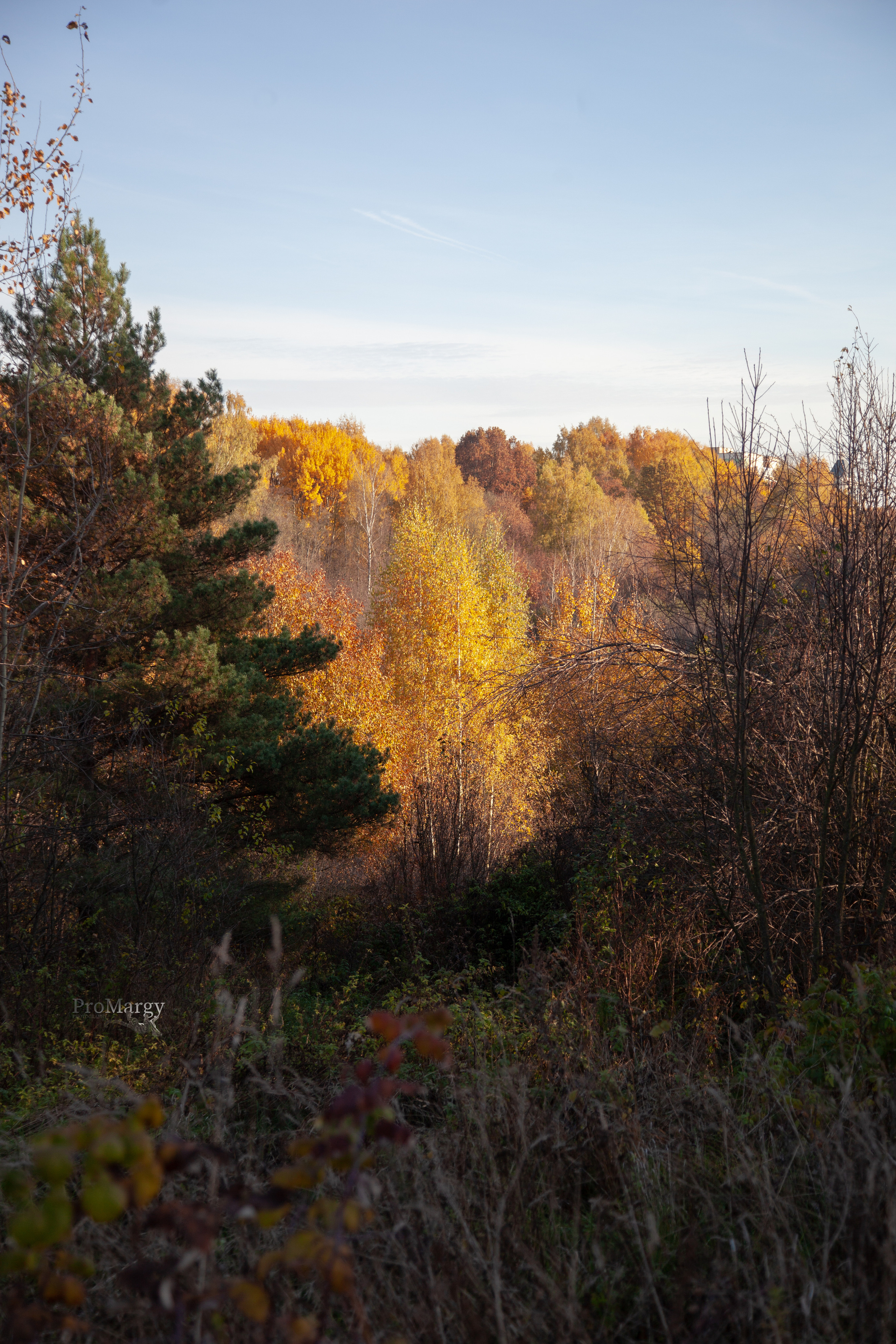 Осень 2021. Фотограф и ретушер Маргарита Павлюк Москва