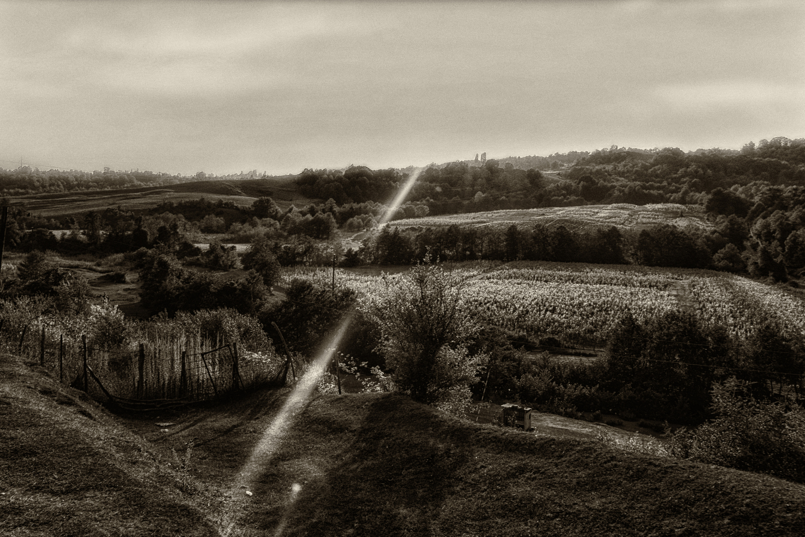 Абхазия. Фотограф и ретушер Маргарита Павлюк Москва